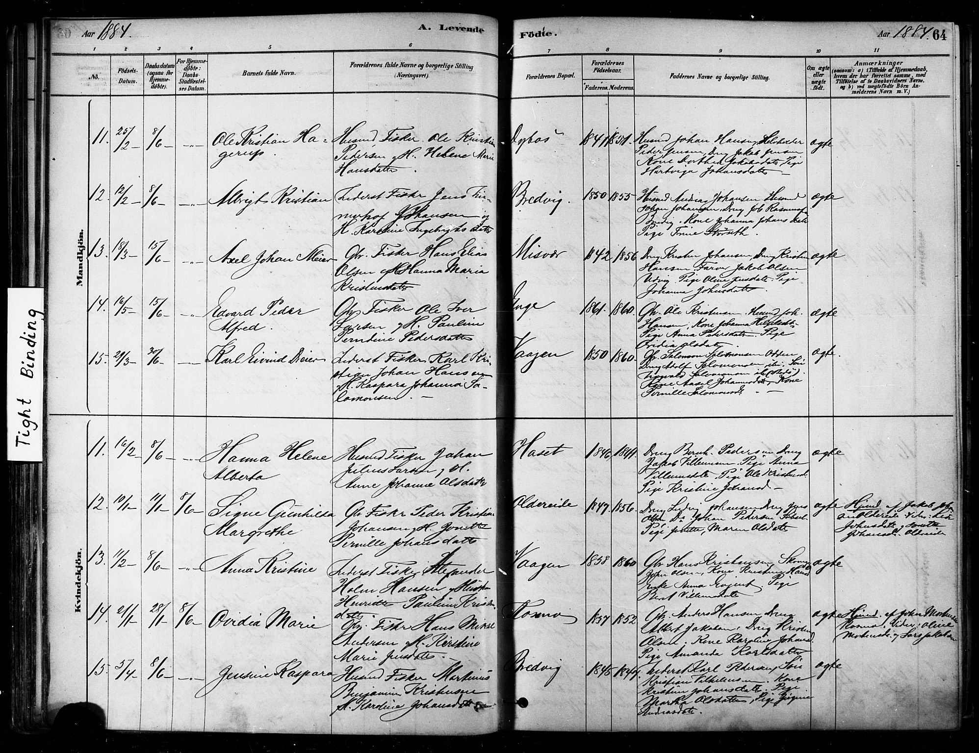 Ministerialprotokoller, klokkerbøker og fødselsregistre - Nordland, AV/SAT-A-1459/852/L0740: Parish register (official) no. 852A10, 1878-1894, p. 64