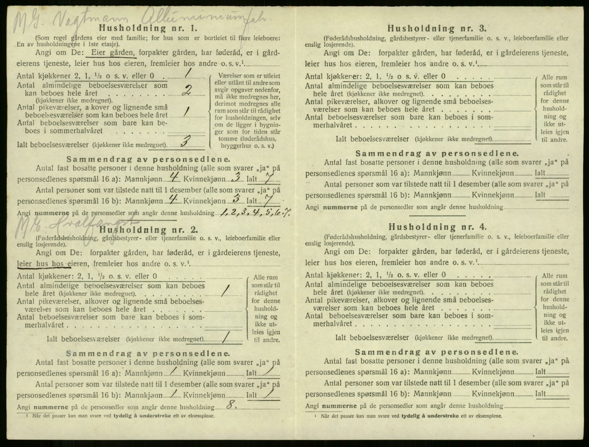 SAKO, 1920 census for Botne, 1920, p. 375