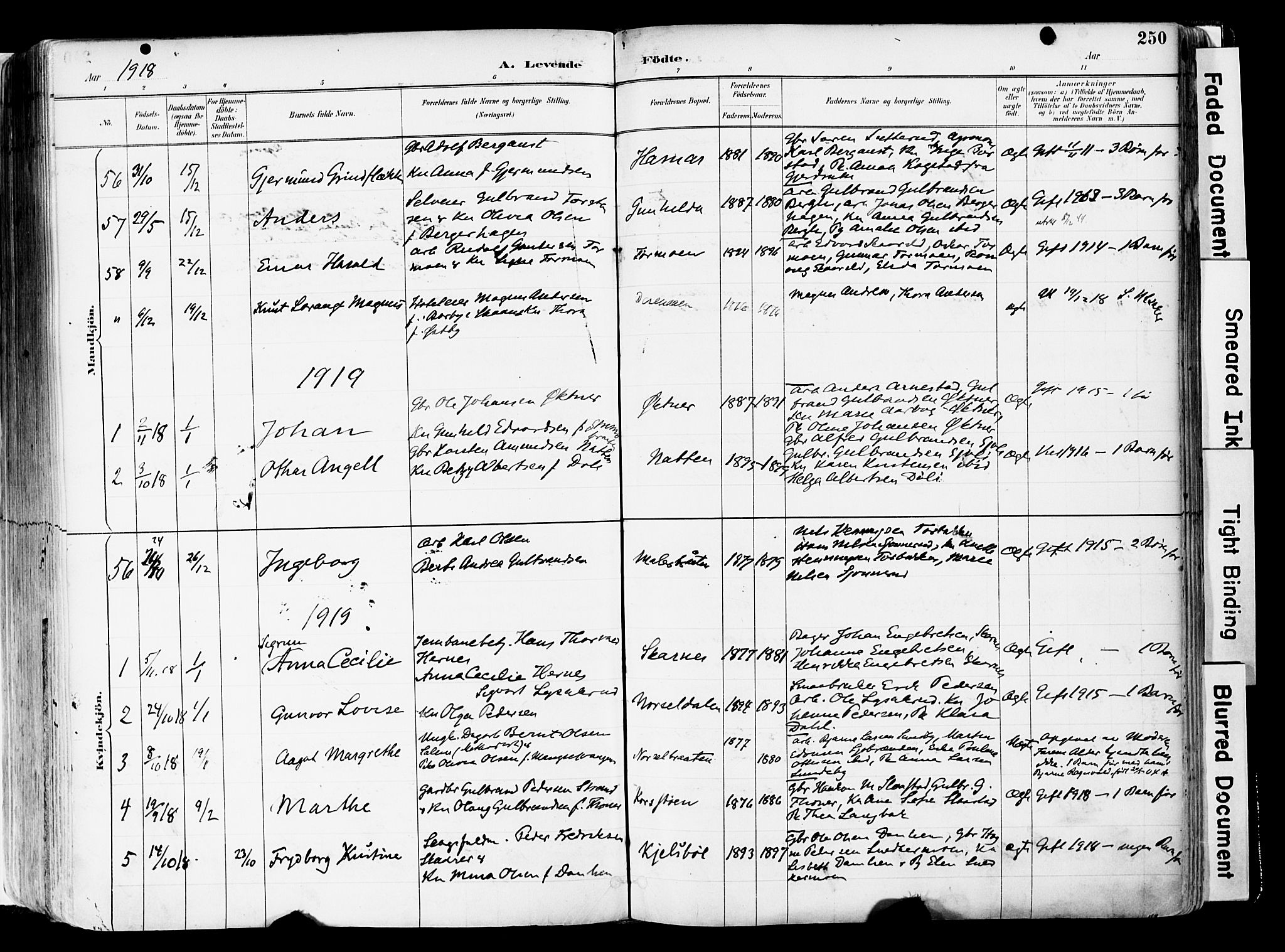 Sør-Odal prestekontor, AV/SAH-PREST-030/H/Ha/Haa/L0006: Parish register (official) no. 6, 1886-1931, p. 250