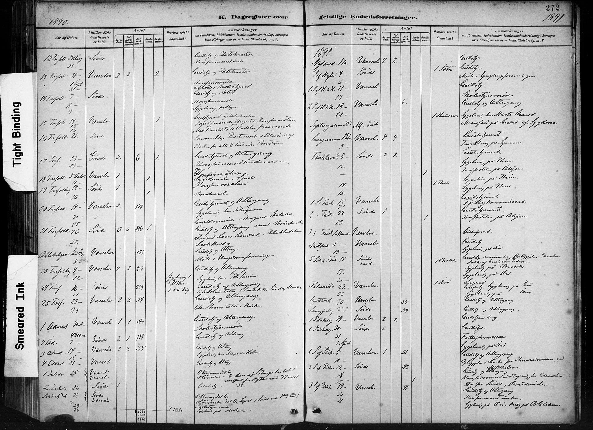 Ministerialprotokoller, klokkerbøker og fødselsregistre - Møre og Romsdal, AV/SAT-A-1454/501/L0008: Parish register (official) no. 501A08, 1885-1901, p. 272