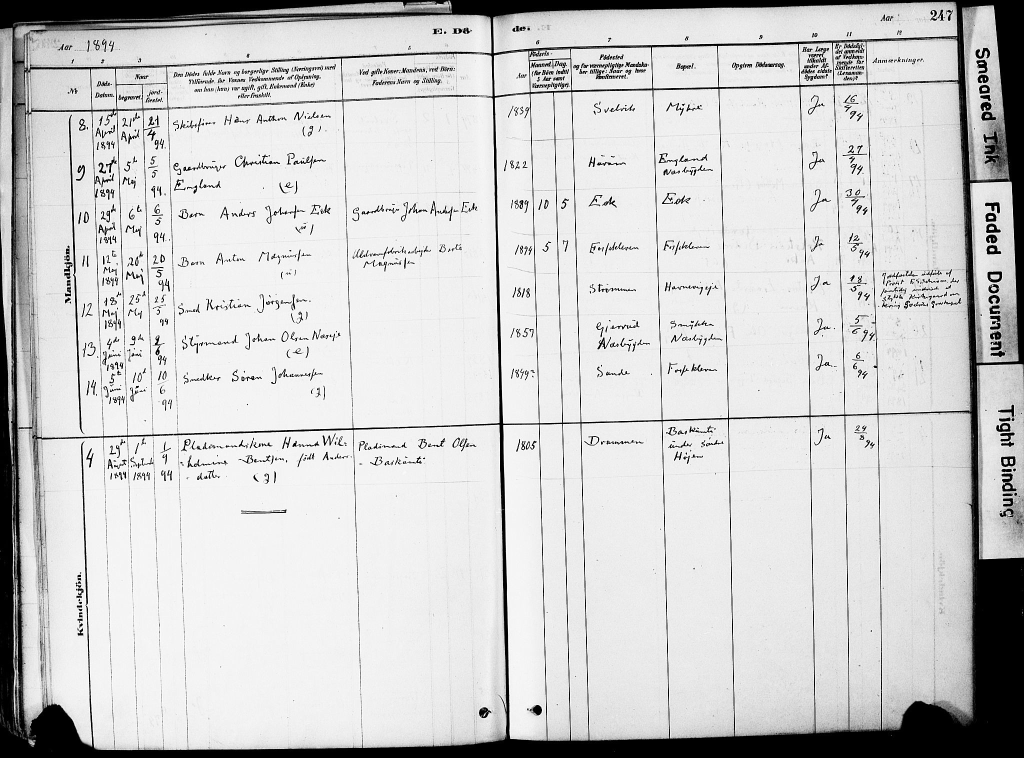 Strømm kirkebøker, AV/SAKO-A-322/F/Fa/L0004: Parish register (official) no. I 4, 1878-1899, p. 247