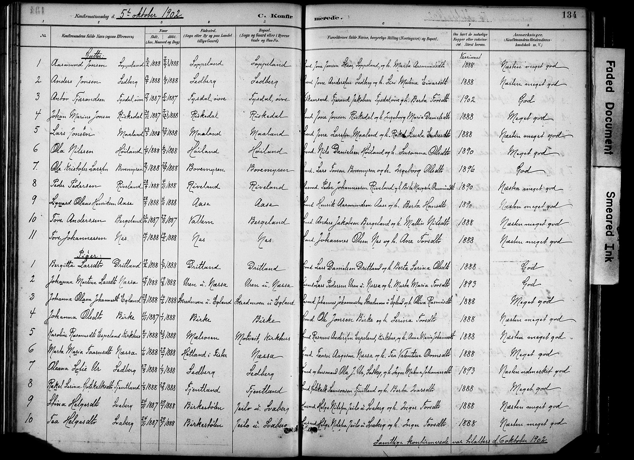 Hjelmeland sokneprestkontor, AV/SAST-A-101843/02/A/L0001: Parish register (official) no. A 16, 1887-1926, p. 134