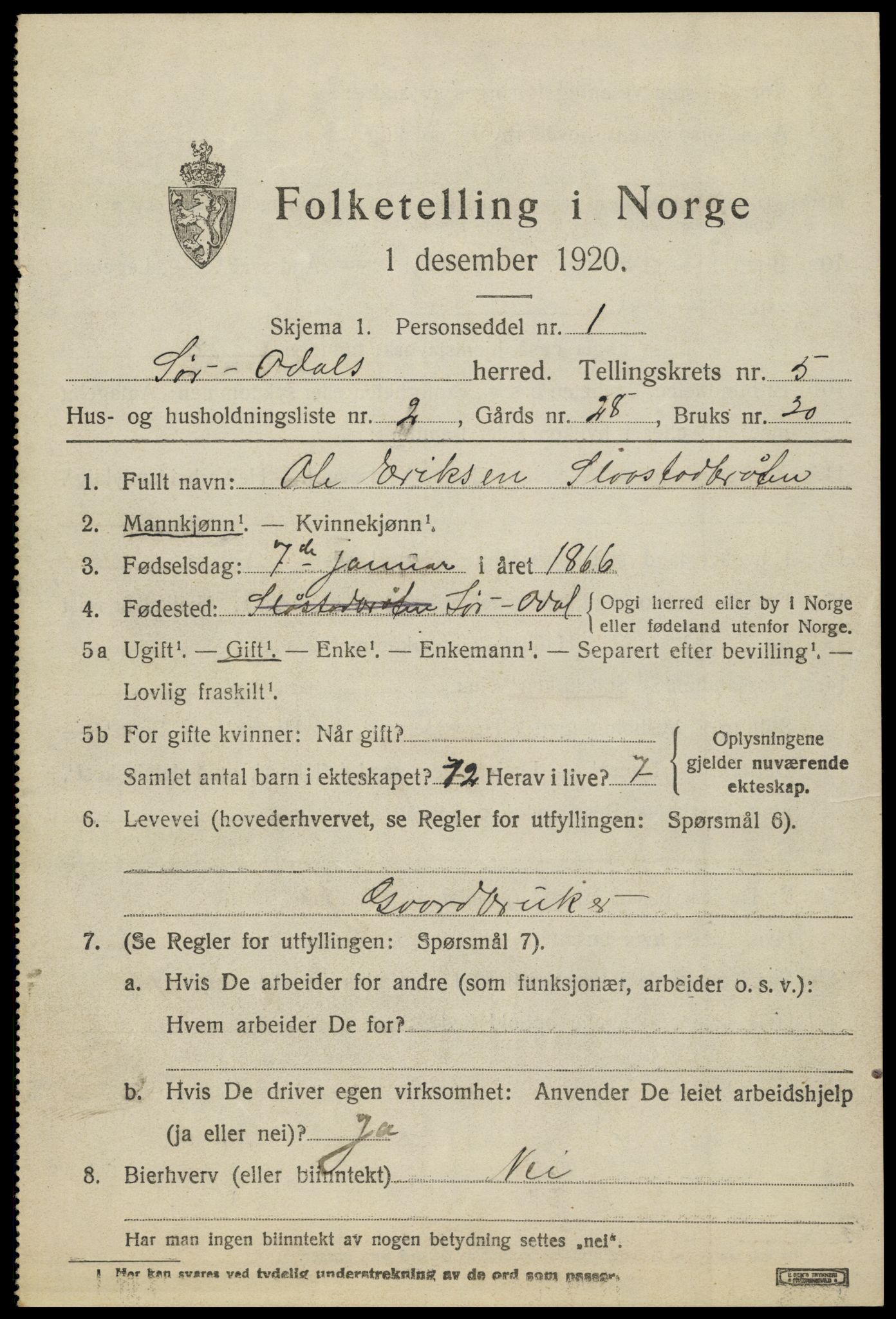 SAH, 1920 census for Sør-Odal, 1920, p. 6063