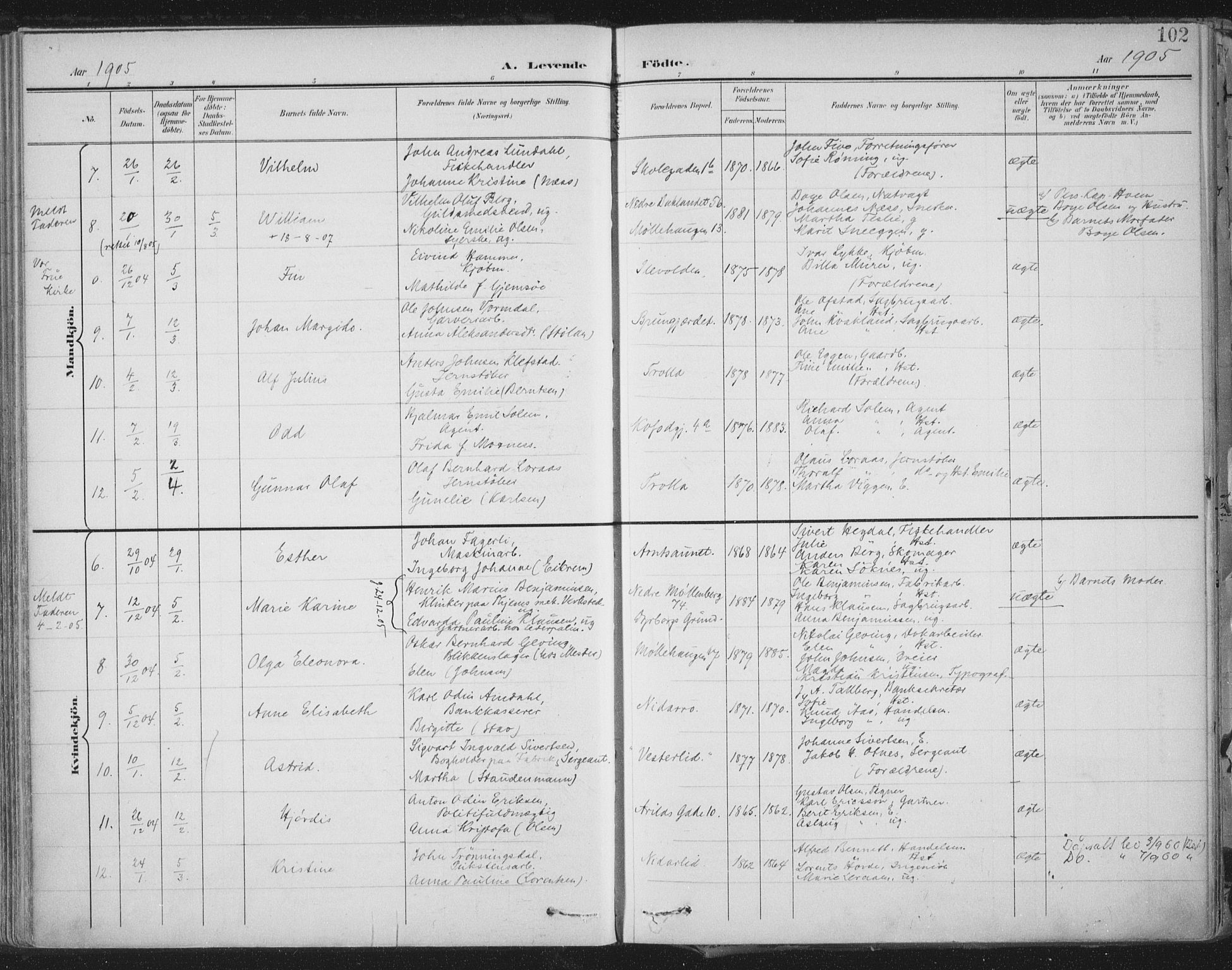 Ministerialprotokoller, klokkerbøker og fødselsregistre - Sør-Trøndelag, SAT/A-1456/603/L0167: Parish register (official) no. 603A06, 1896-1932, p. 102