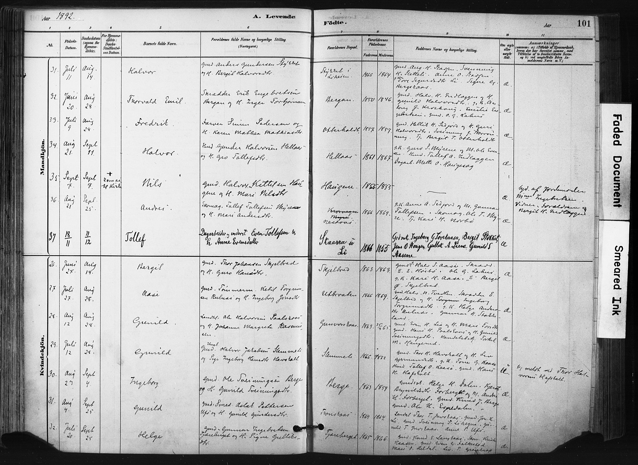 Bø kirkebøker, SAKO/A-257/F/Fa/L0010: Parish register (official) no. 10, 1880-1892, p. 101