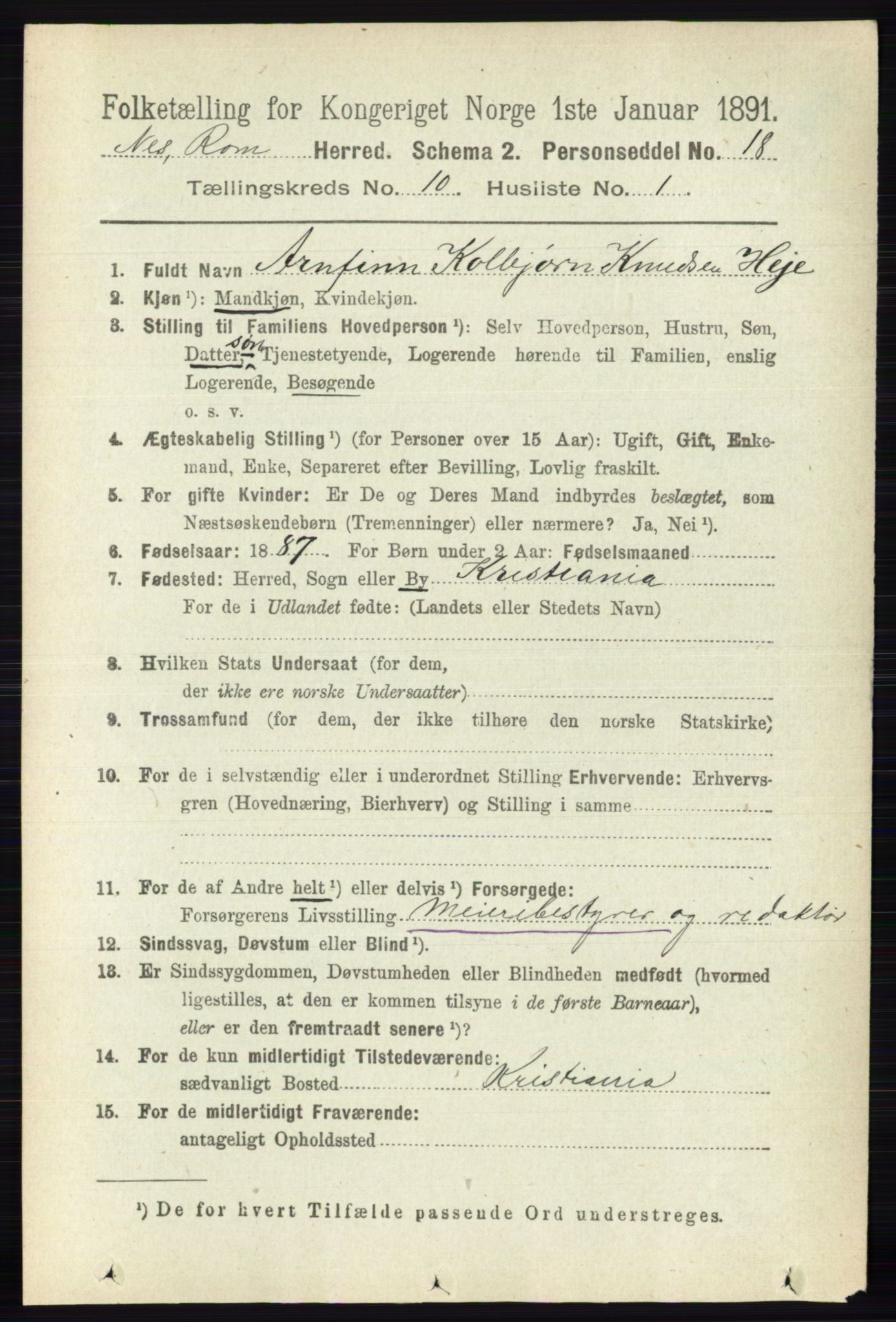 RA, 1891 census for 0236 Nes, 1891, p. 5807