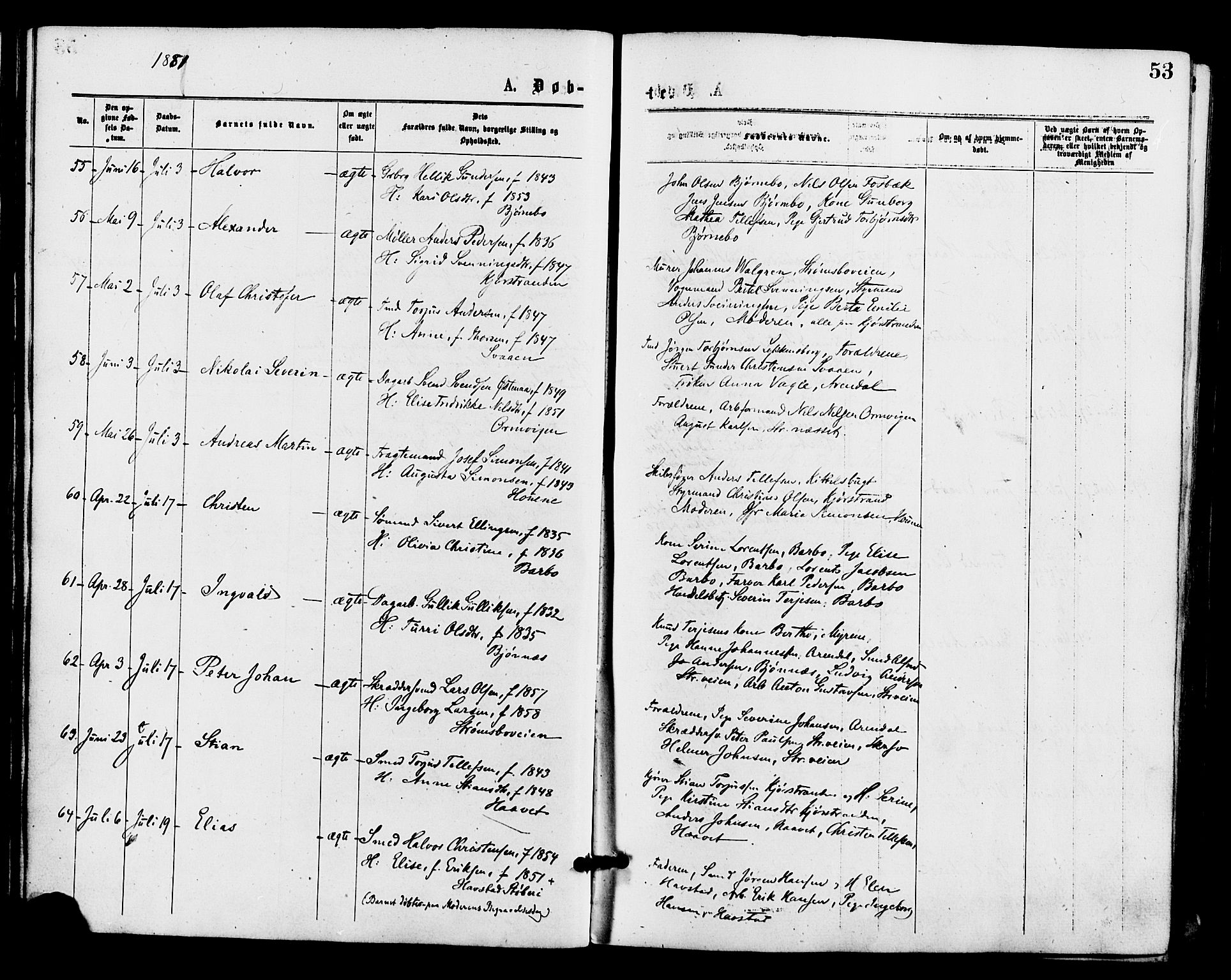 Barbu sokneprestkontor, AV/SAK-1111-0003/F/Fa/L0001: Parish register (official) no. A 1 /1, 1878-1883, p. 53