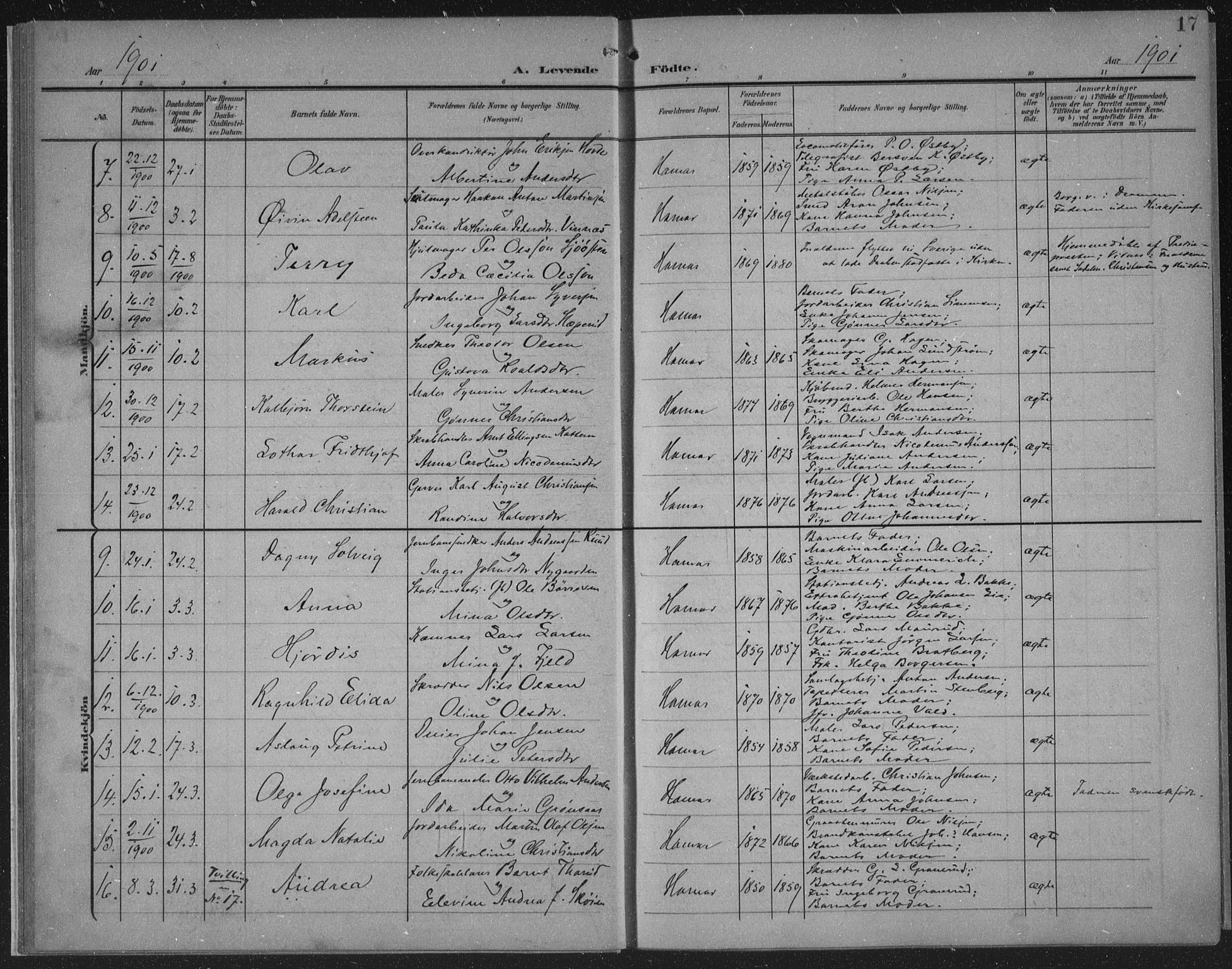 Hamar prestekontor, AV/SAH-DOMPH-002/H/Ha/Haa/L0001: Parish register (official) no. 1, 1900-1914, p. 17