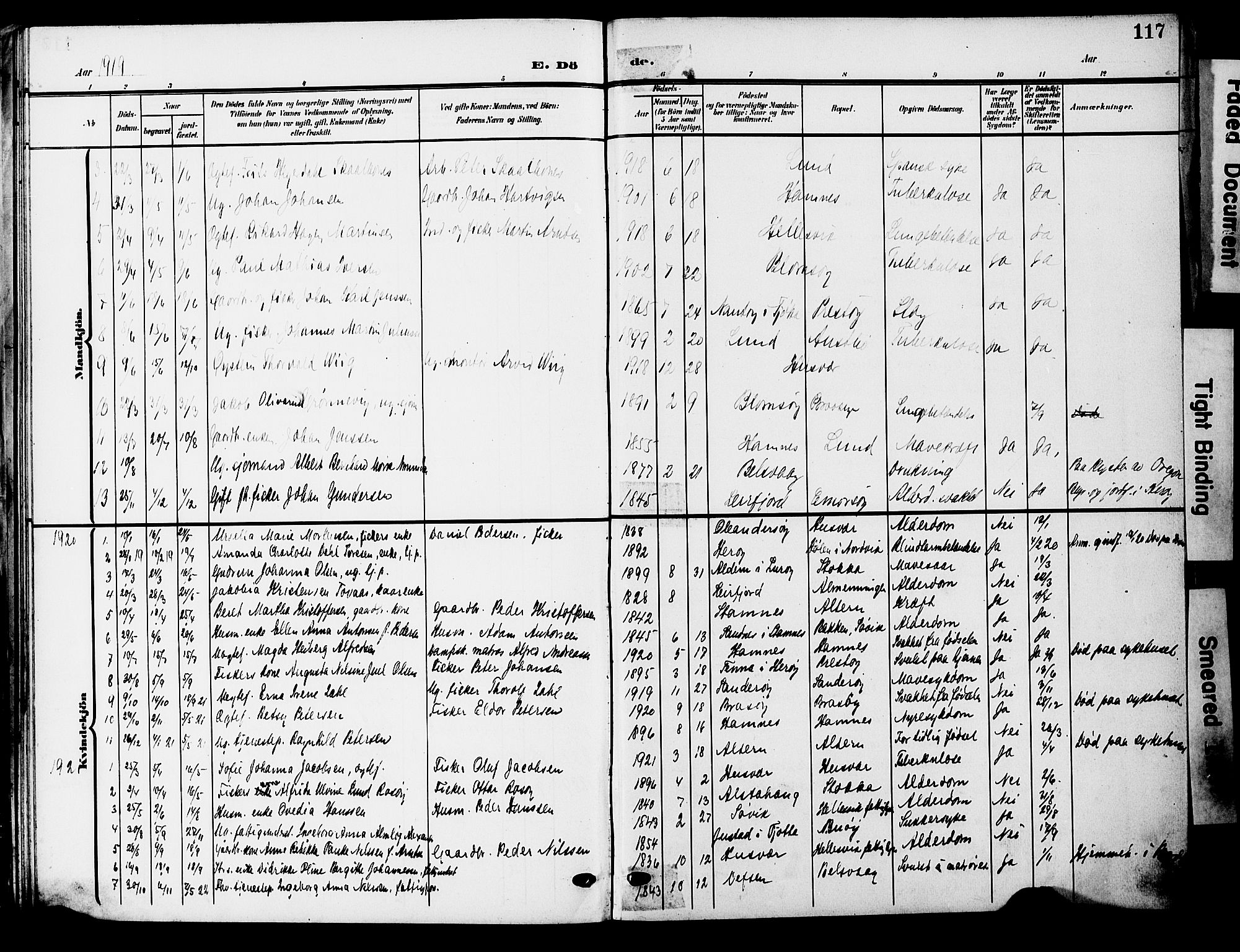 Ministerialprotokoller, klokkerbøker og fødselsregistre - Nordland, AV/SAT-A-1459/830/L0464: Parish register (copy) no. 830C06, 1906-1925, p. 117