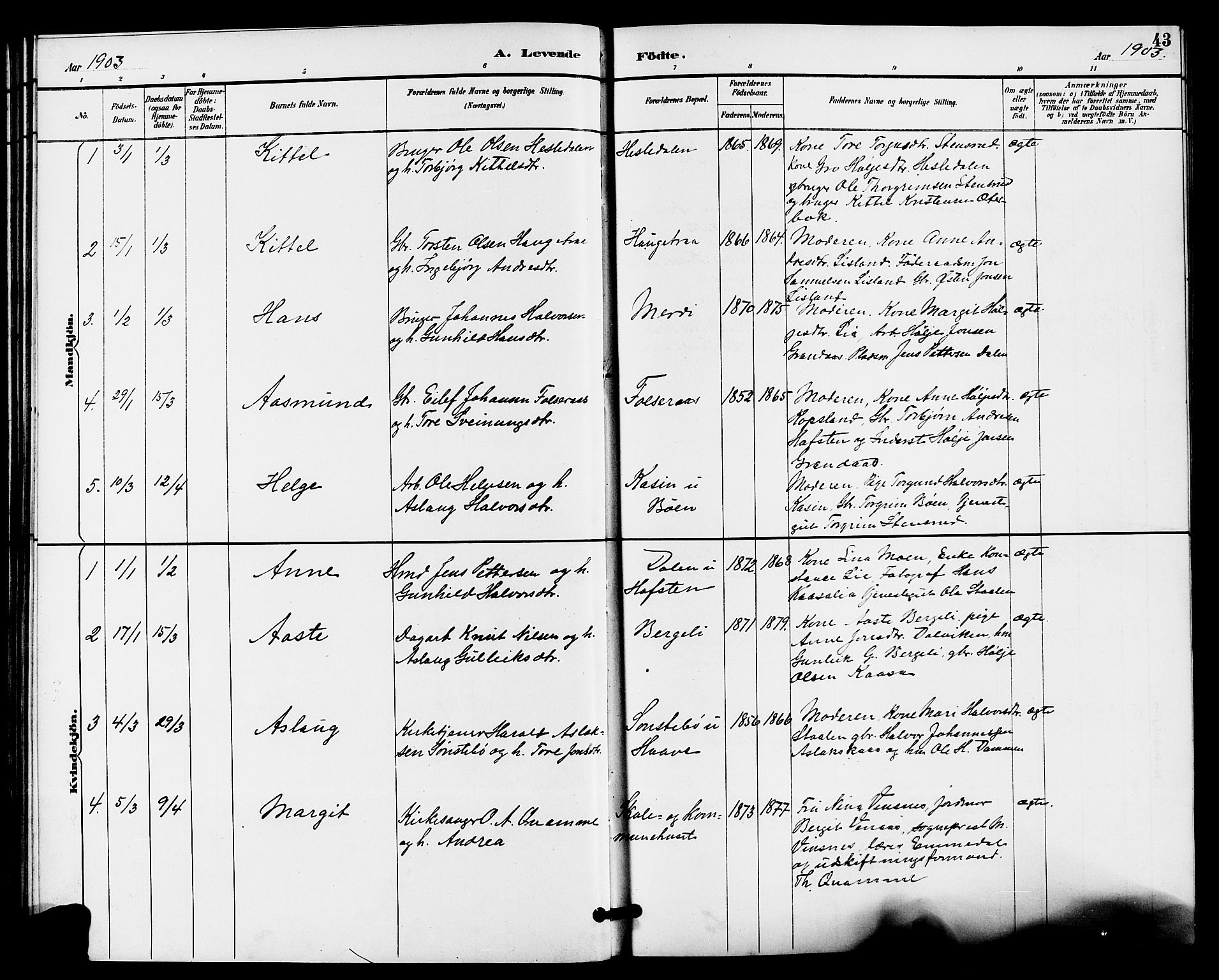 Gransherad kirkebøker, SAKO/A-267/G/Ga/L0003: Parish register (copy) no. I 3, 1887-1915, p. 43