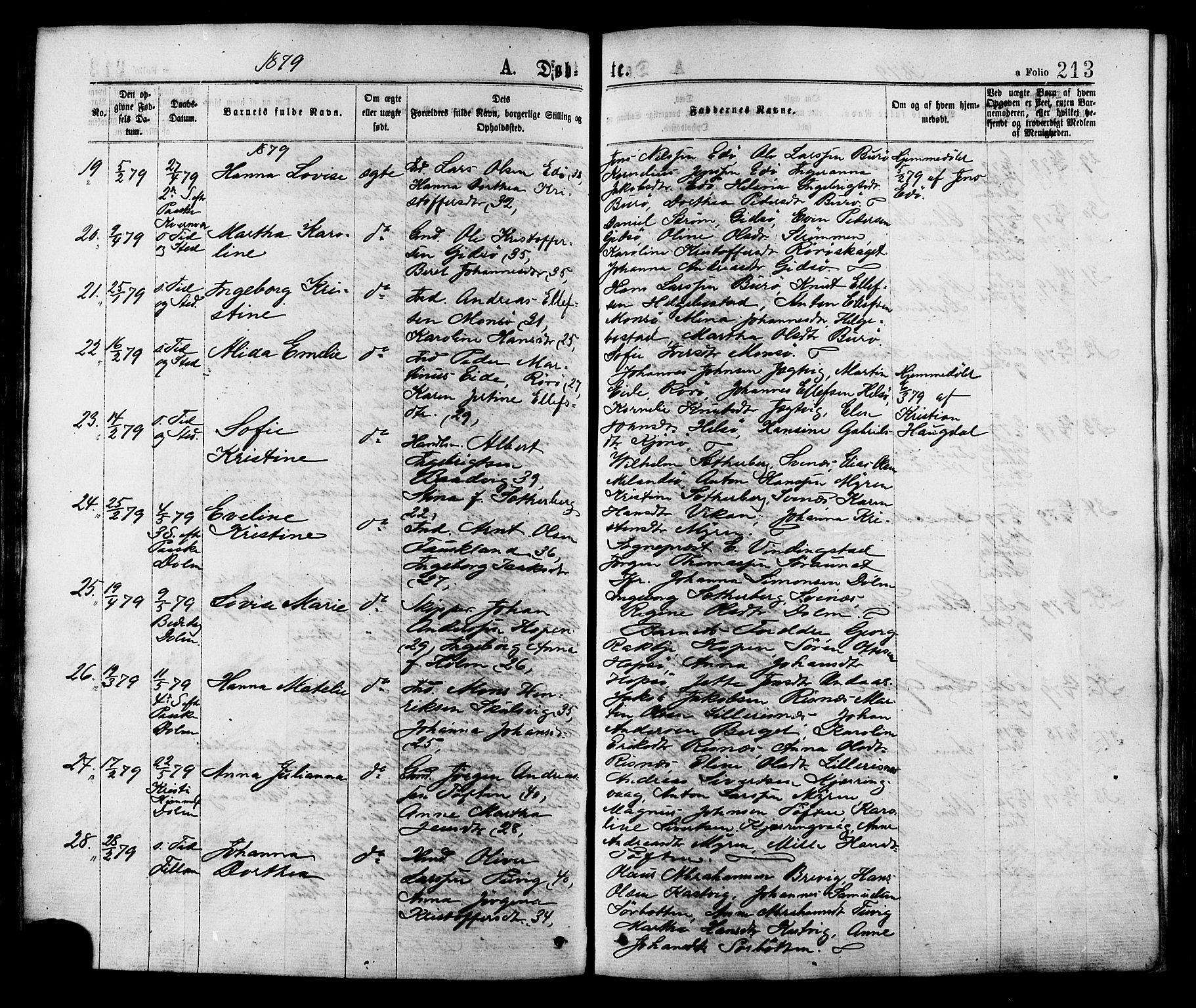 Ministerialprotokoller, klokkerbøker og fødselsregistre - Sør-Trøndelag, SAT/A-1456/634/L0532: Parish register (official) no. 634A08, 1871-1881, p. 213