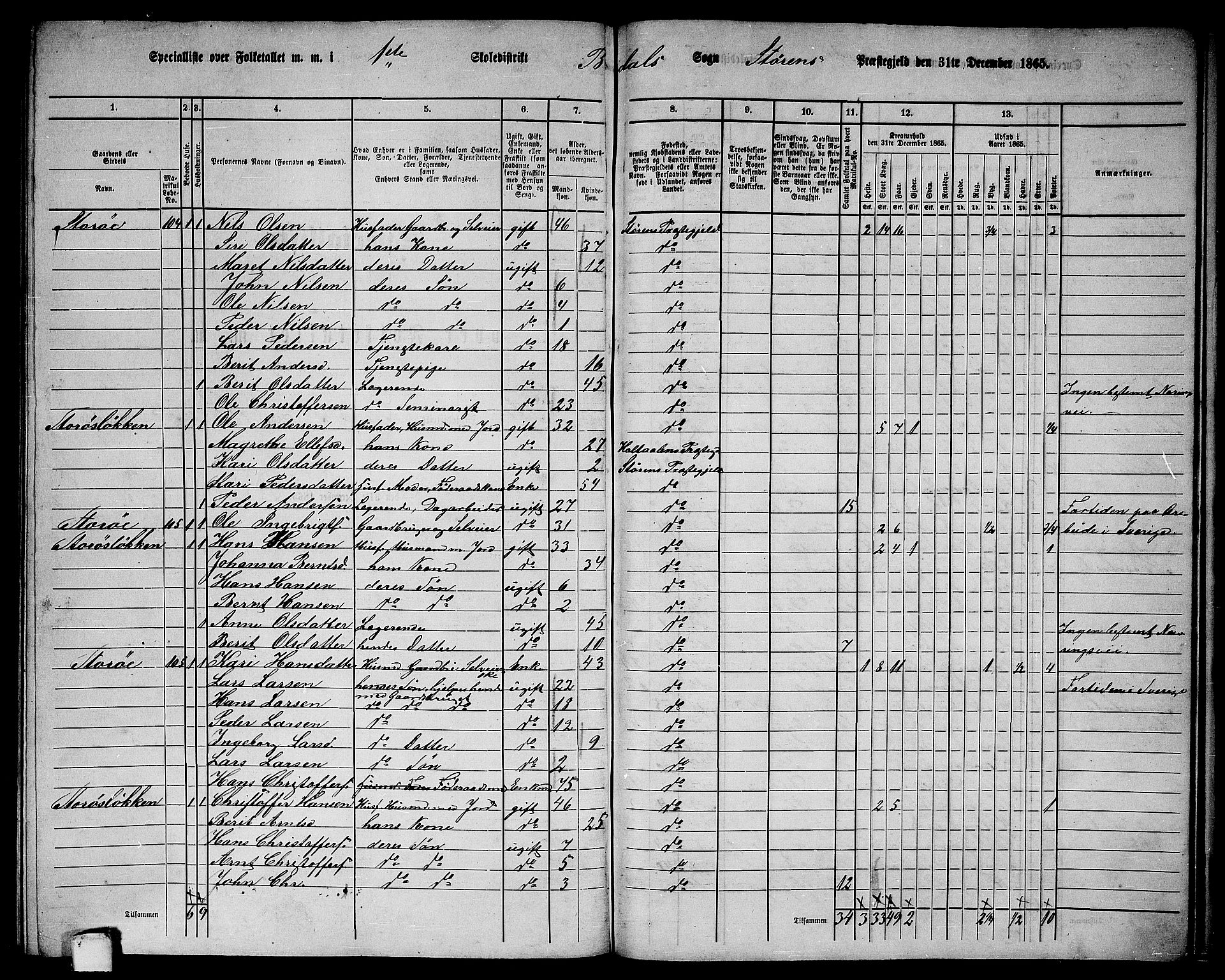 RA, 1865 census for Støren, 1865, p. 299