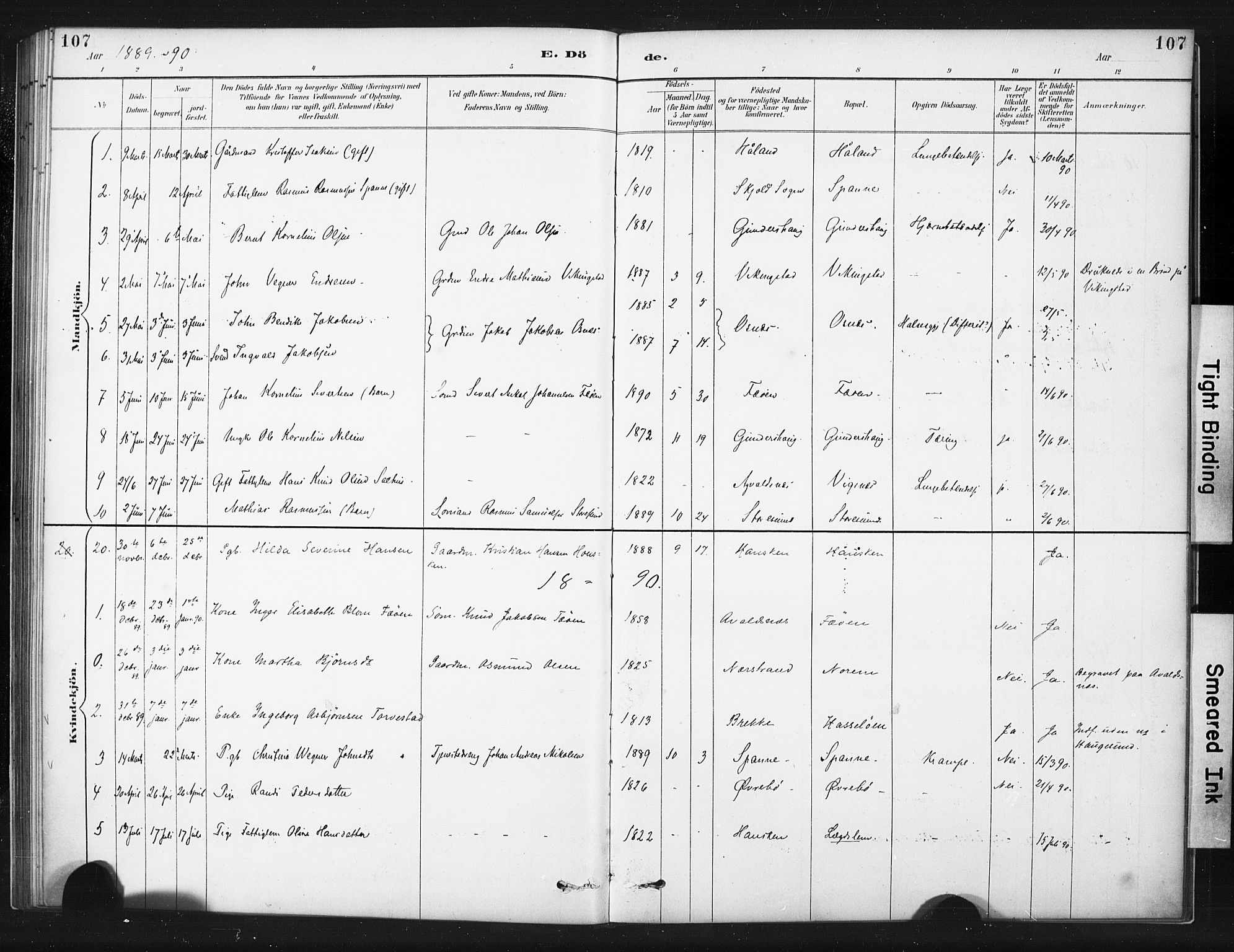 Torvastad sokneprestkontor, SAST/A -101857/H/Ha/Haa/L0015: Parish register (official) no. A 14, 1888-1899, p. 107