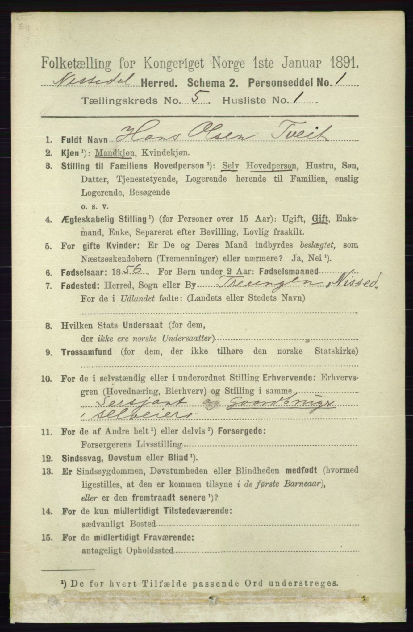 RA, 1891 census for 0830 Nissedal, 1891, p. 1096