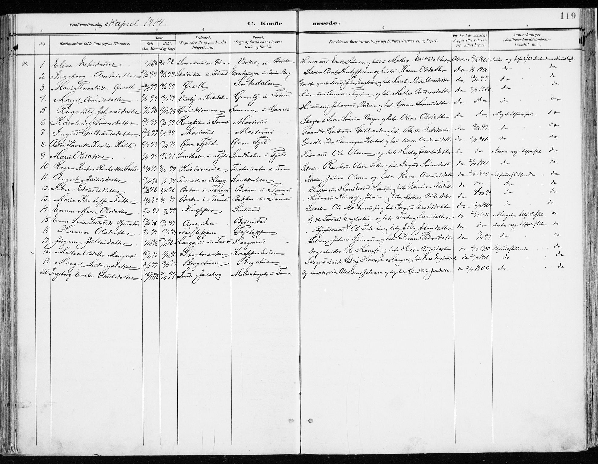 Nord-Odal prestekontor, SAH/PREST-032/H/Ha/Haa/L0009: Parish register (official) no. 9, 1902-1926, p. 119