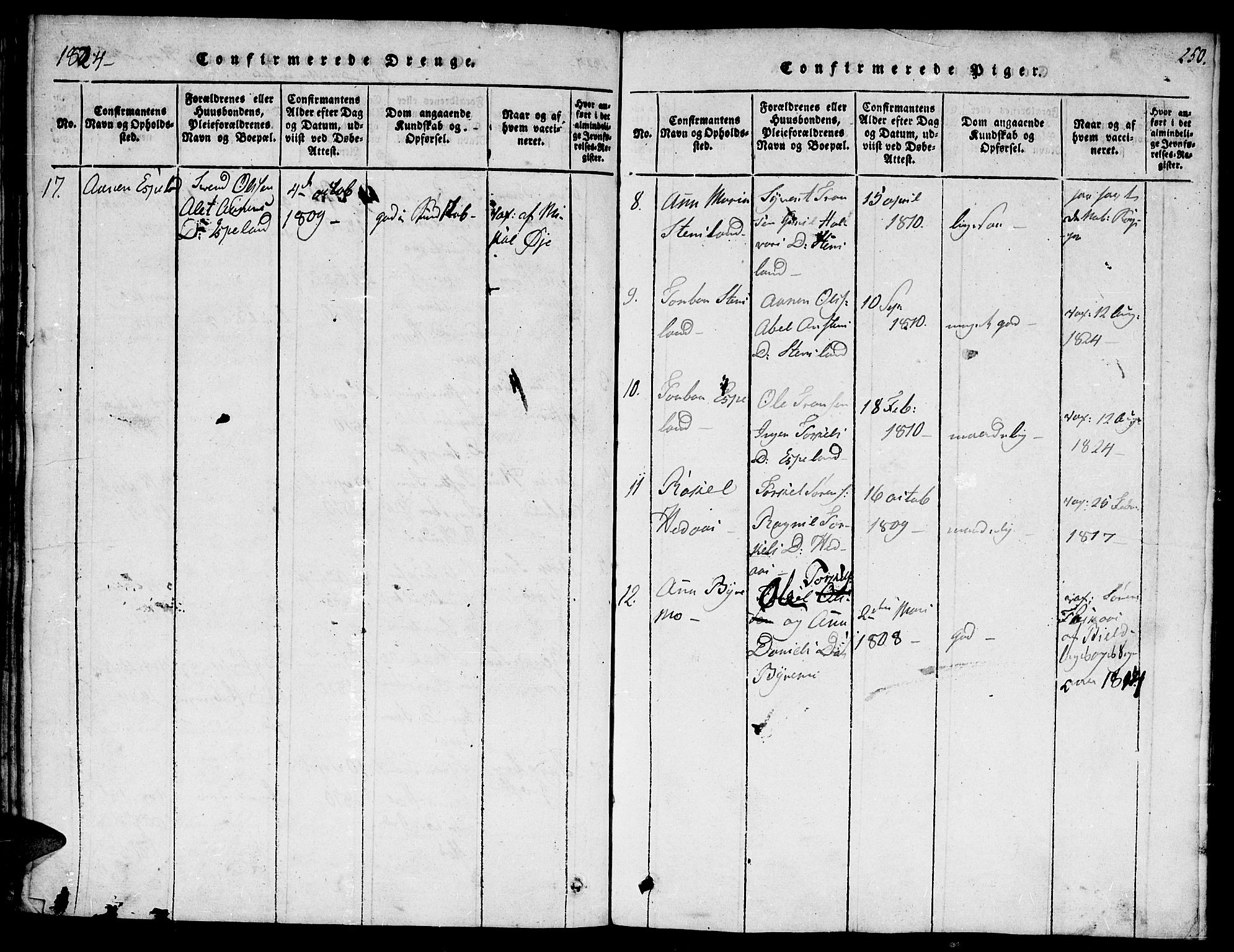 Hægebostad sokneprestkontor, SAK/1111-0024/F/Fa/Faa/L0002: Parish register (official) no. A 2 /1, 1816-1825, p. 250