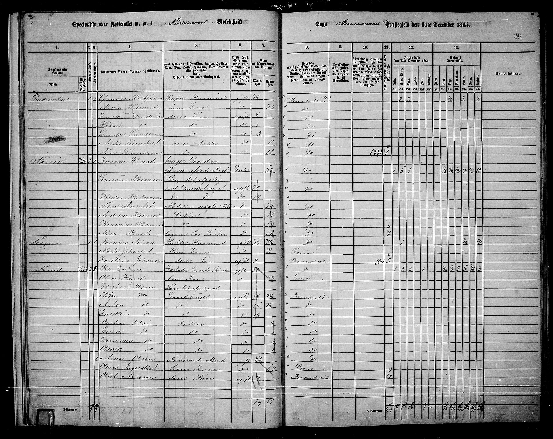 RA, 1865 census for Brandval, 1865, p. 17