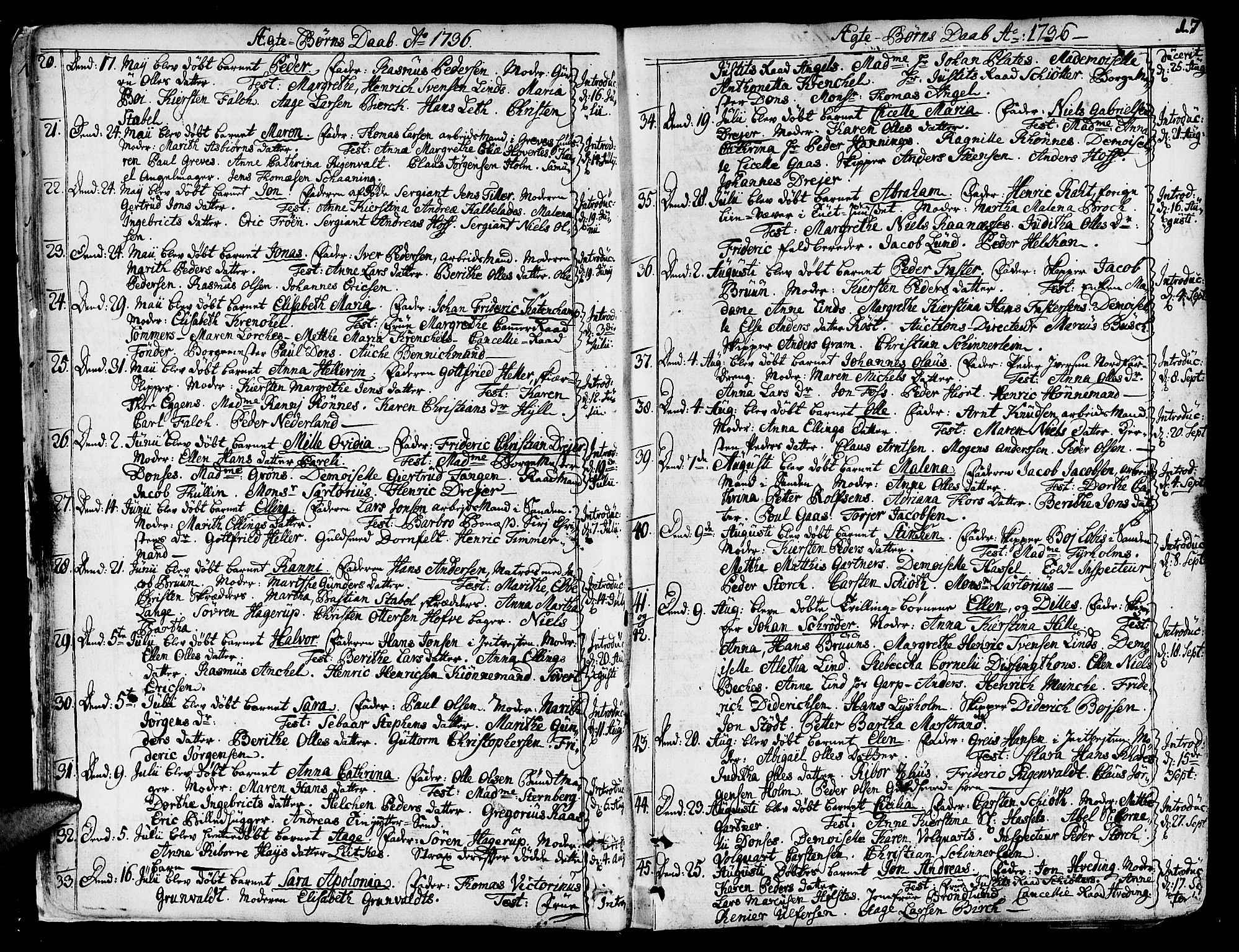 Ministerialprotokoller, klokkerbøker og fødselsregistre - Sør-Trøndelag, AV/SAT-A-1456/602/L0103: Parish register (official) no. 602A01, 1732-1774, p. 17