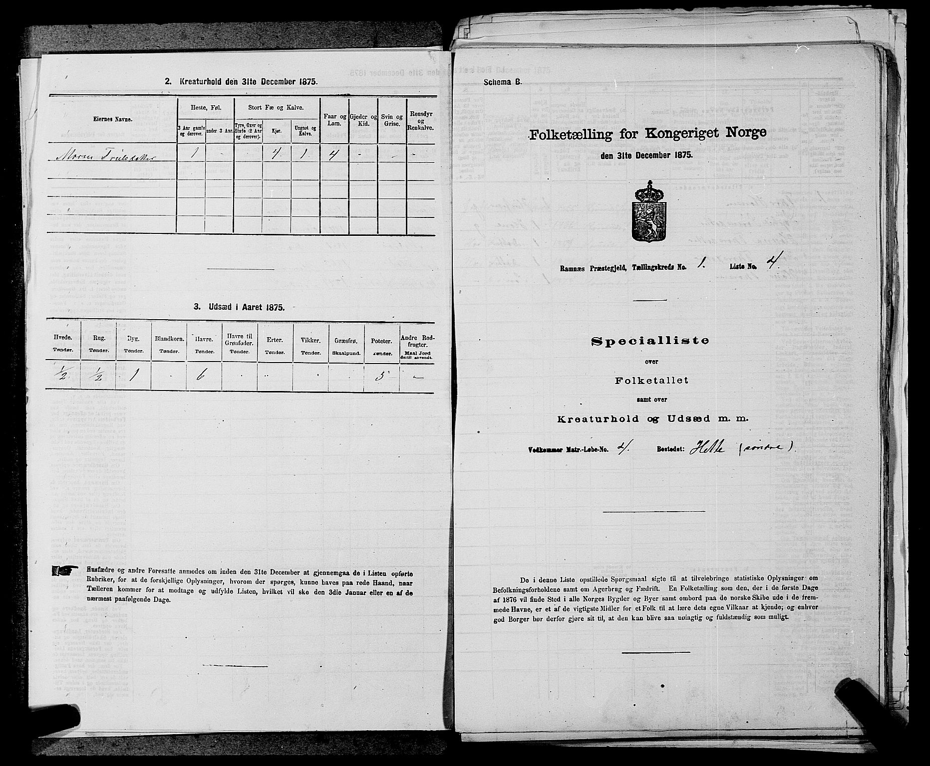 SAKO, 1875 census for 0718P Ramnes, 1875, p. 46