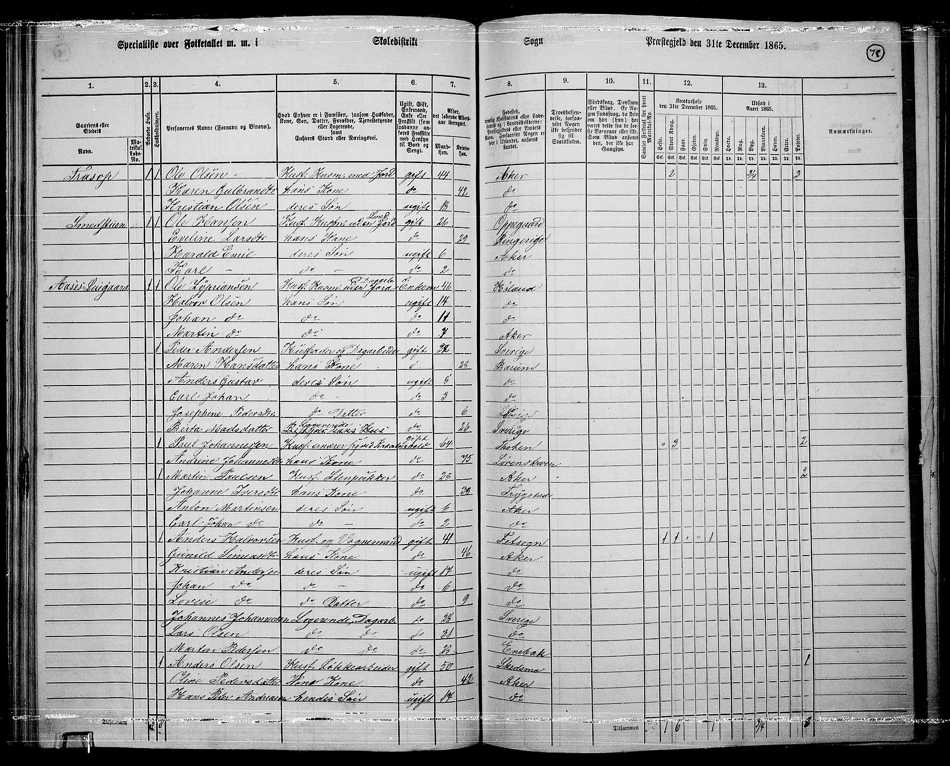 RA, 1865 census for Østre Aker, 1865, p. 302