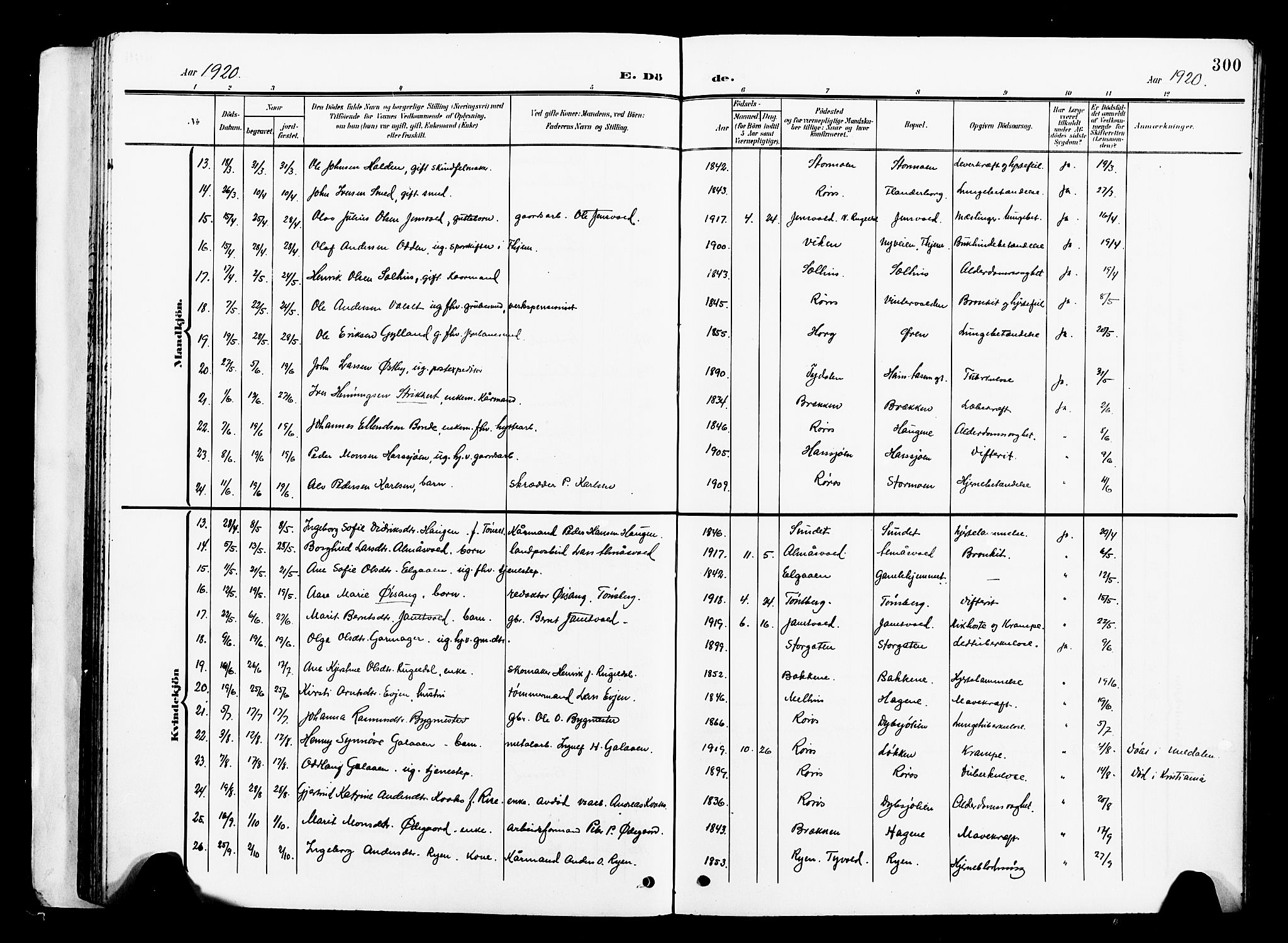 Ministerialprotokoller, klokkerbøker og fødselsregistre - Sør-Trøndelag, AV/SAT-A-1456/681/L0942: Parish register (copy) no. 681C06, 1906-1925, p. 300