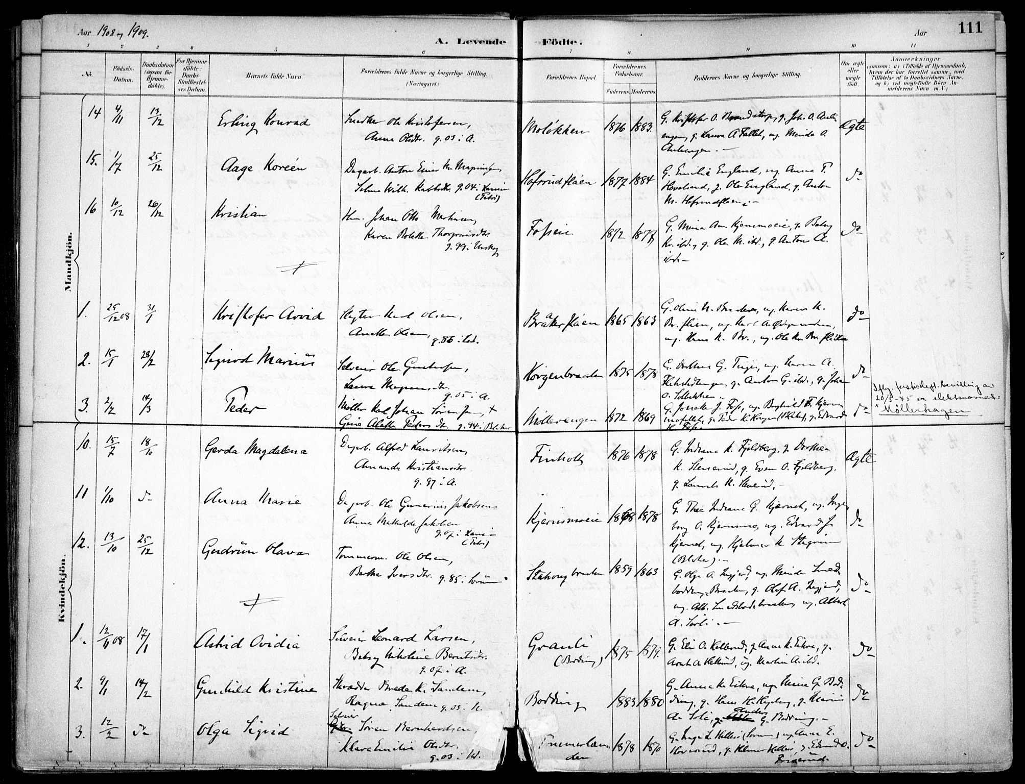 Nes prestekontor Kirkebøker, SAO/A-10410/F/Fc/L0002: Parish register (official) no. IIi 2, 1882-1916, p. 111