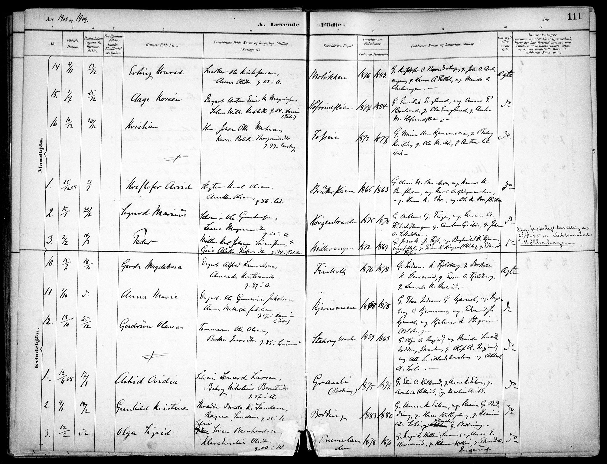 Nes prestekontor Kirkebøker, AV/SAO-A-10410/F/Fc/L0002: Parish register (official) no. IIi 2, 1882-1916, p. 111