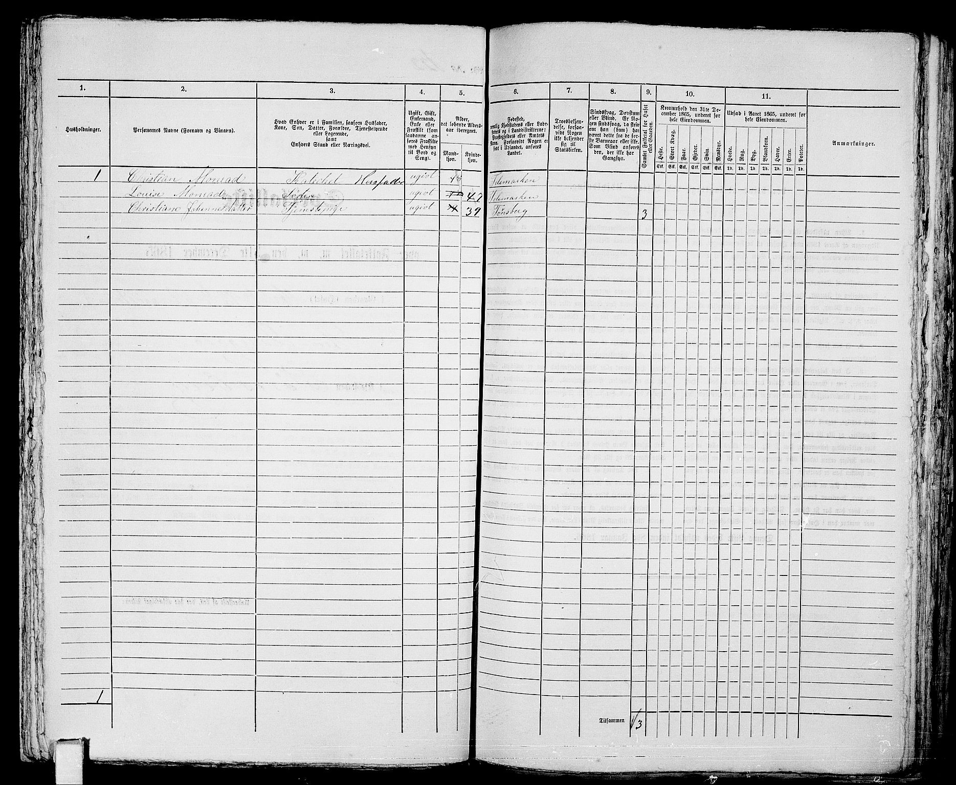 RA, 1865 census for Tønsberg, 1865, p. 270