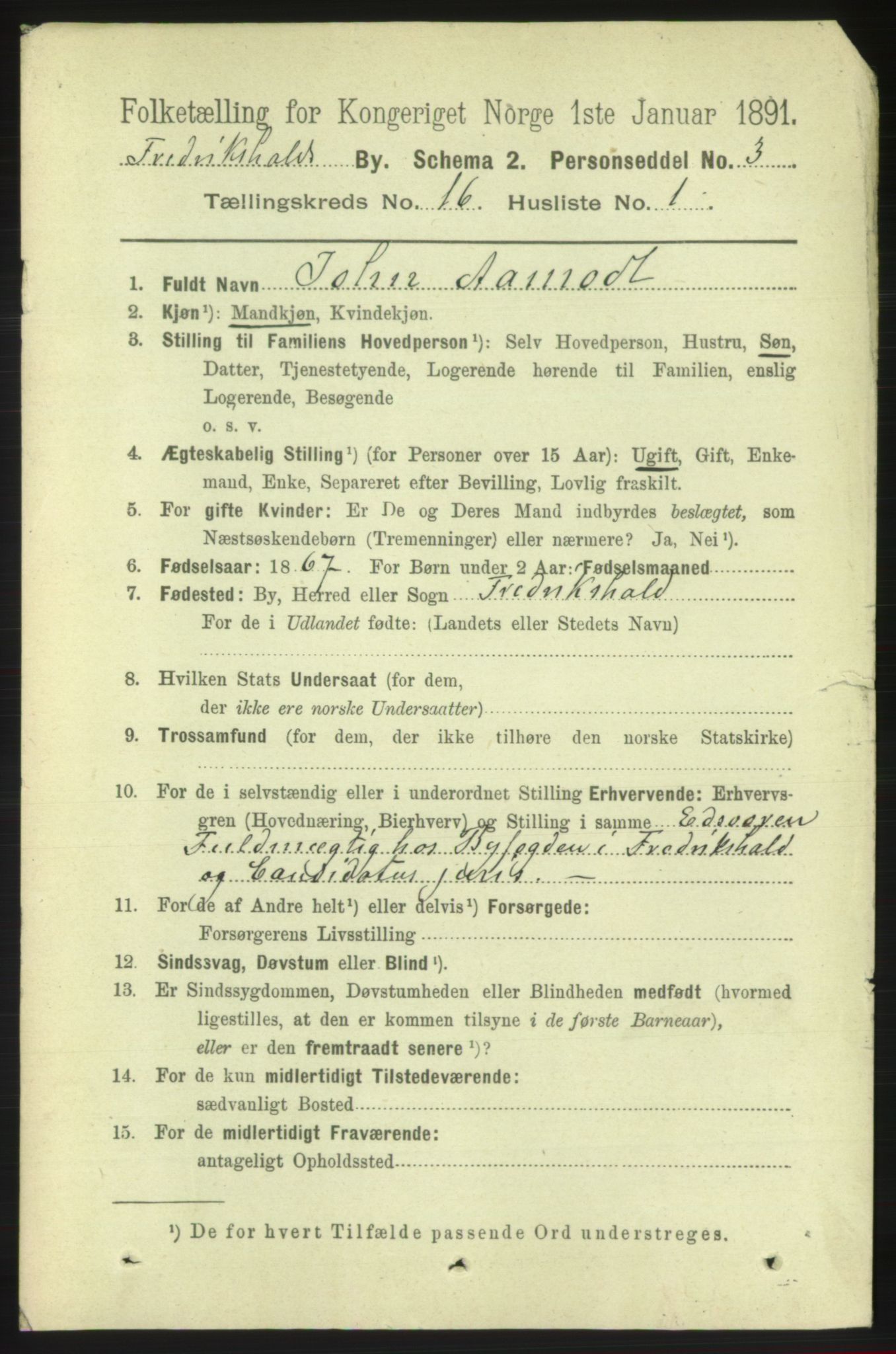 RA, 1891 census for 0101 Fredrikshald, 1891, p. 10384