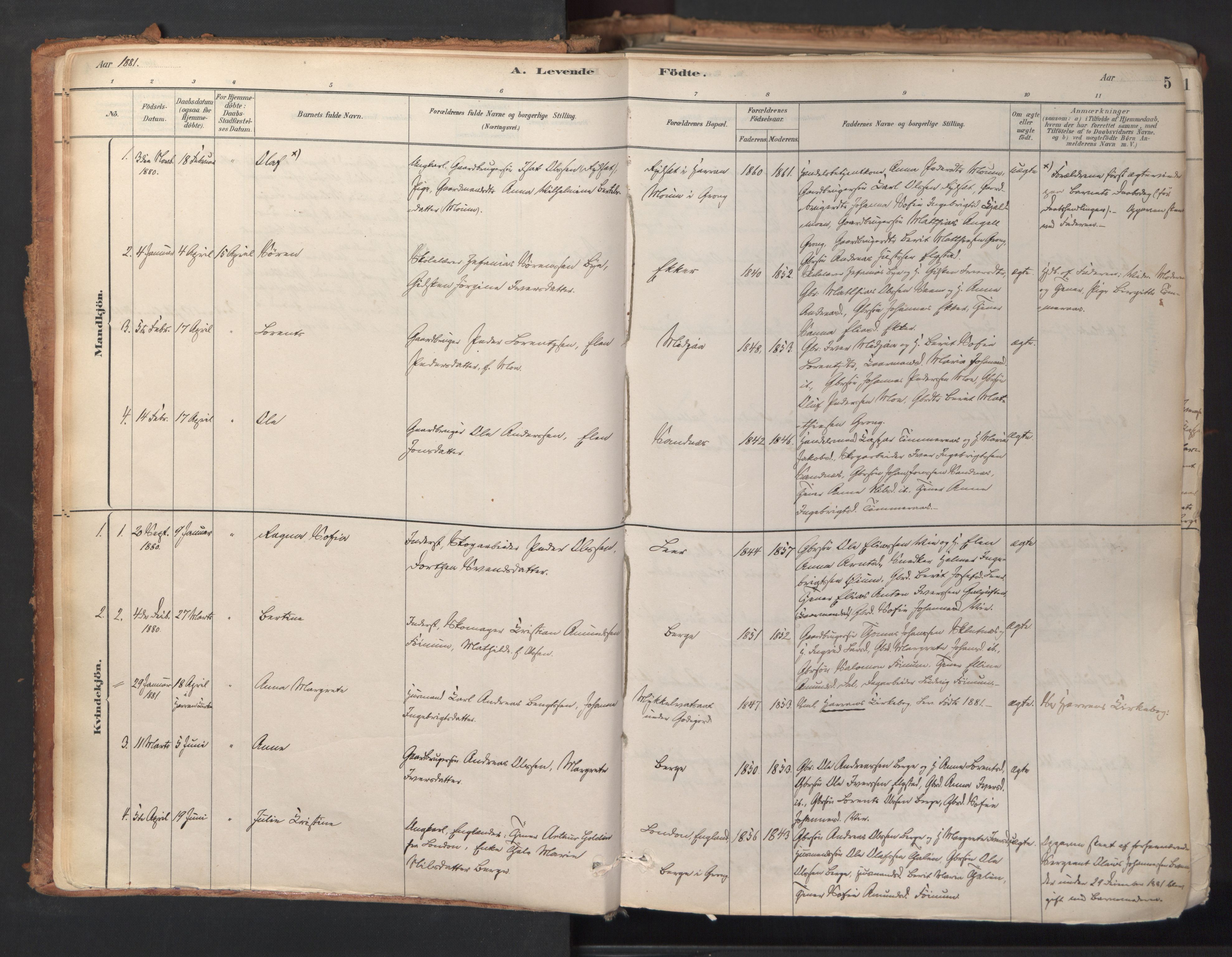 Ministerialprotokoller, klokkerbøker og fødselsregistre - Nord-Trøndelag, SAT/A-1458/758/L0519: Parish register (official) no. 758A04, 1880-1926, p. 5