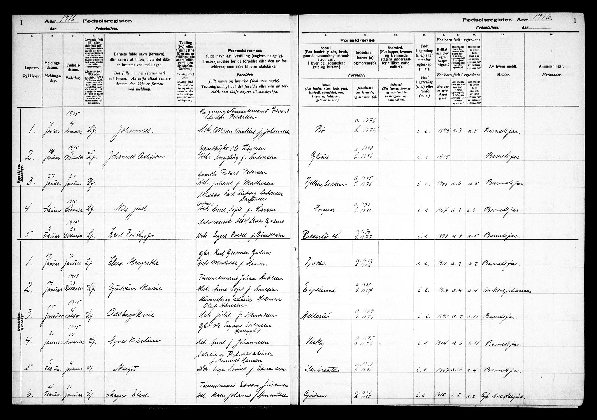 Rakkestad prestekontor Kirkebøker, AV/SAO-A-2008/J/Ja/L0001: Birth register no. I 1, 1916-1936, p. 1