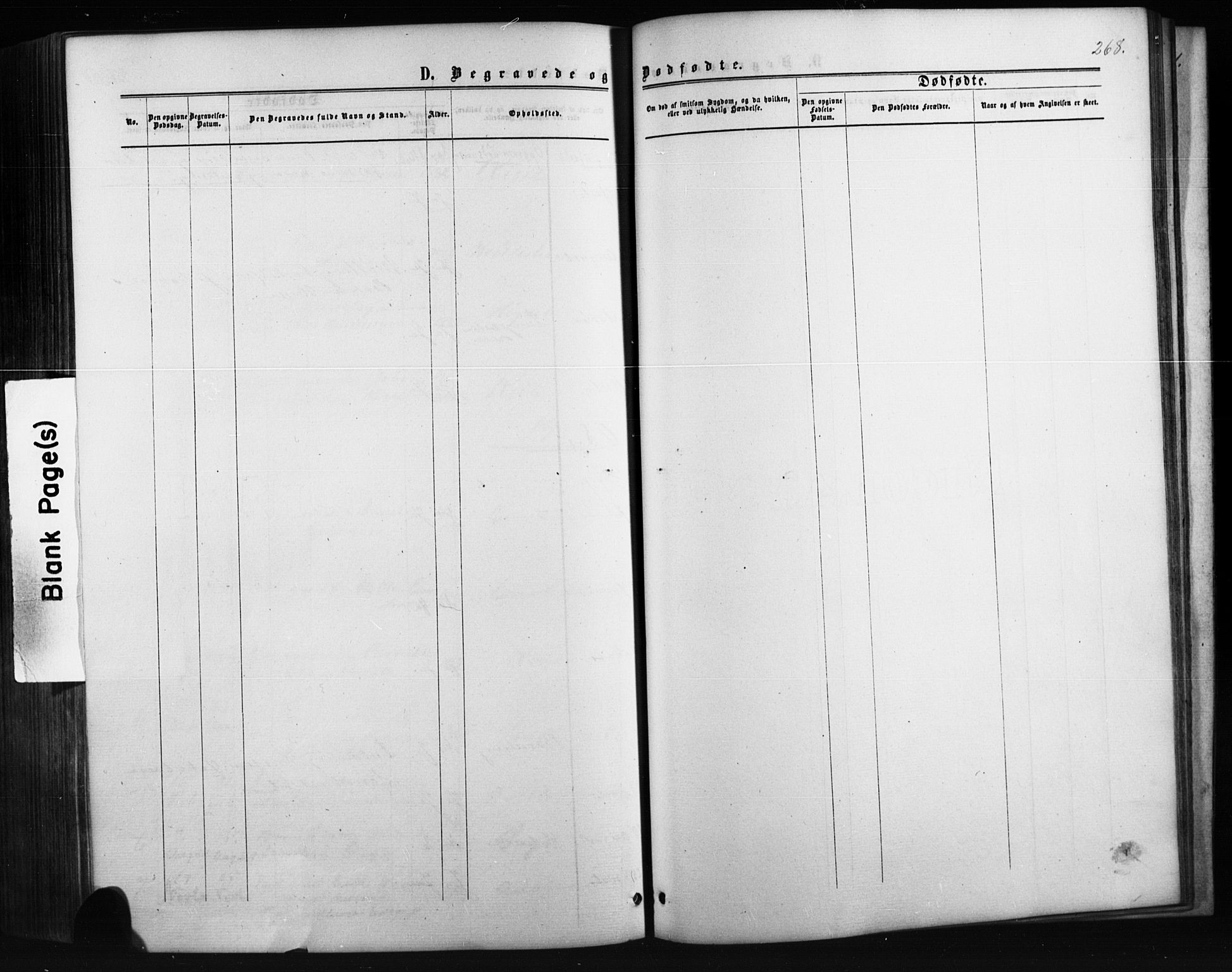 Siljan kirkebøker, SAKO/A-300/G/Ga/L0002: Parish register (copy) no. 2, 1864-1908, p. 268