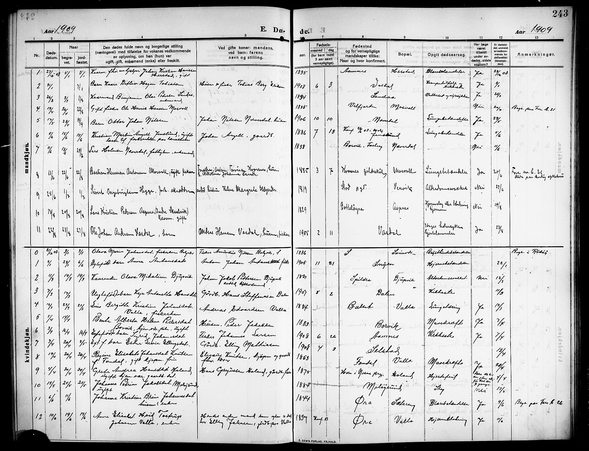 Ministerialprotokoller, klokkerbøker og fødselsregistre - Nordland, SAT/A-1459/843/L0639: Parish register (copy) no. 843C08, 1908-1924, p. 243