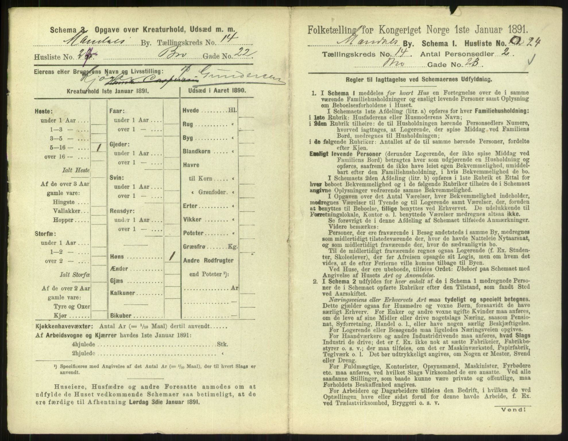 RA, 1891 census for 1002 Mandal, 1891, p. 687