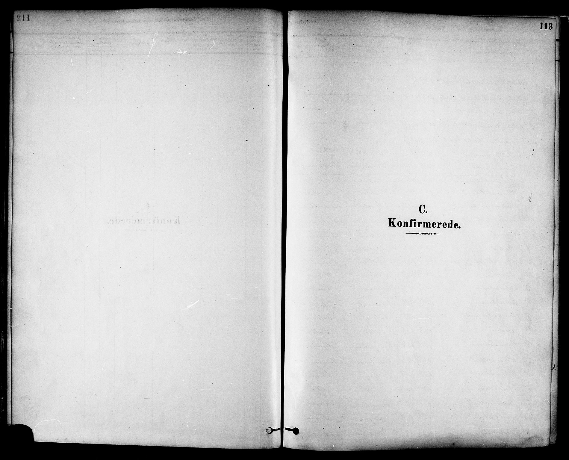 Ministerialprotokoller, klokkerbøker og fødselsregistre - Nord-Trøndelag, SAT/A-1458/717/L0159: Parish register (official) no. 717A09, 1878-1898, p. 113