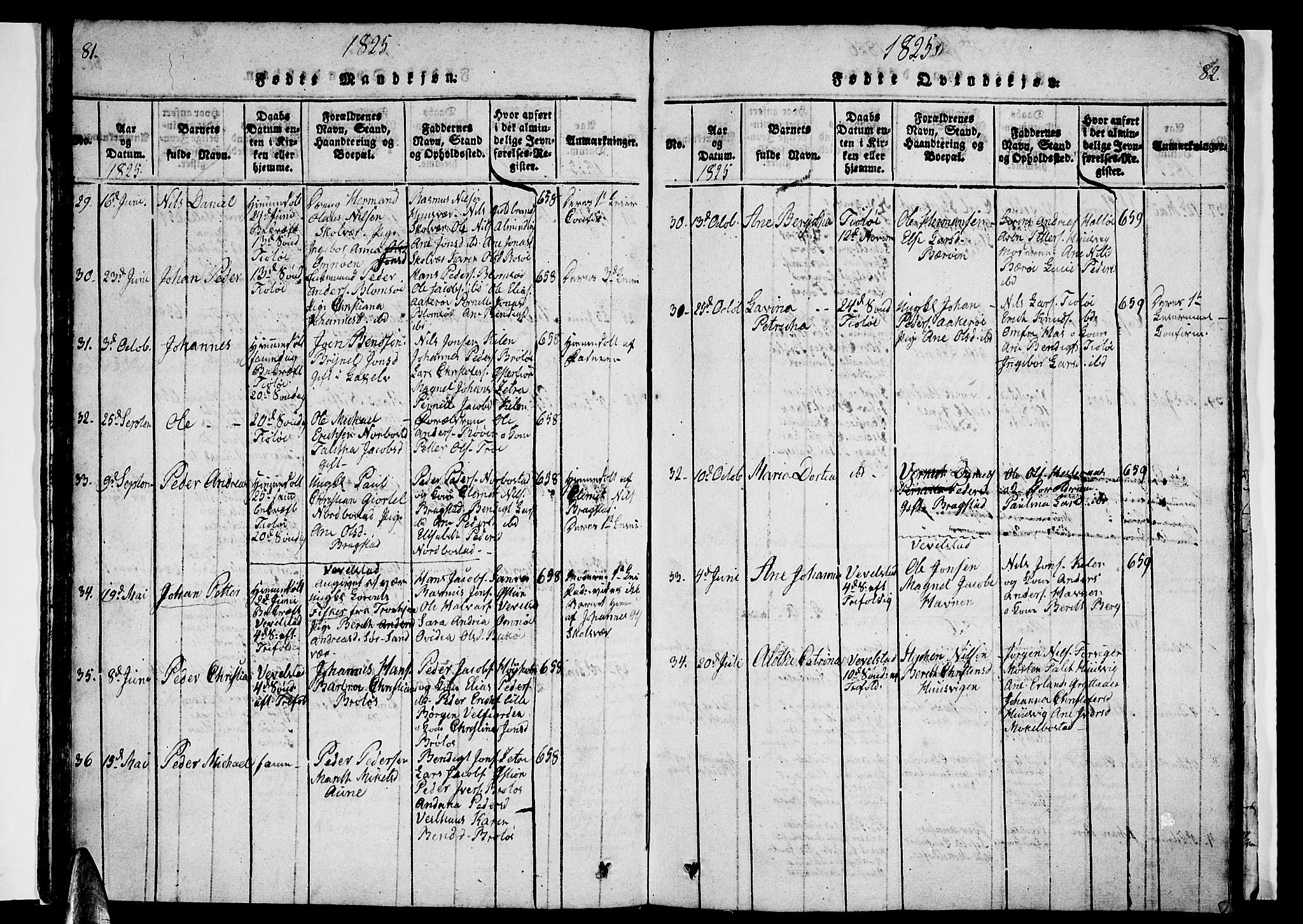 Ministerialprotokoller, klokkerbøker og fødselsregistre - Nordland, AV/SAT-A-1459/830/L0457: Parish register (copy) no. 830C01 /1, 1820-1842, p. 81-82