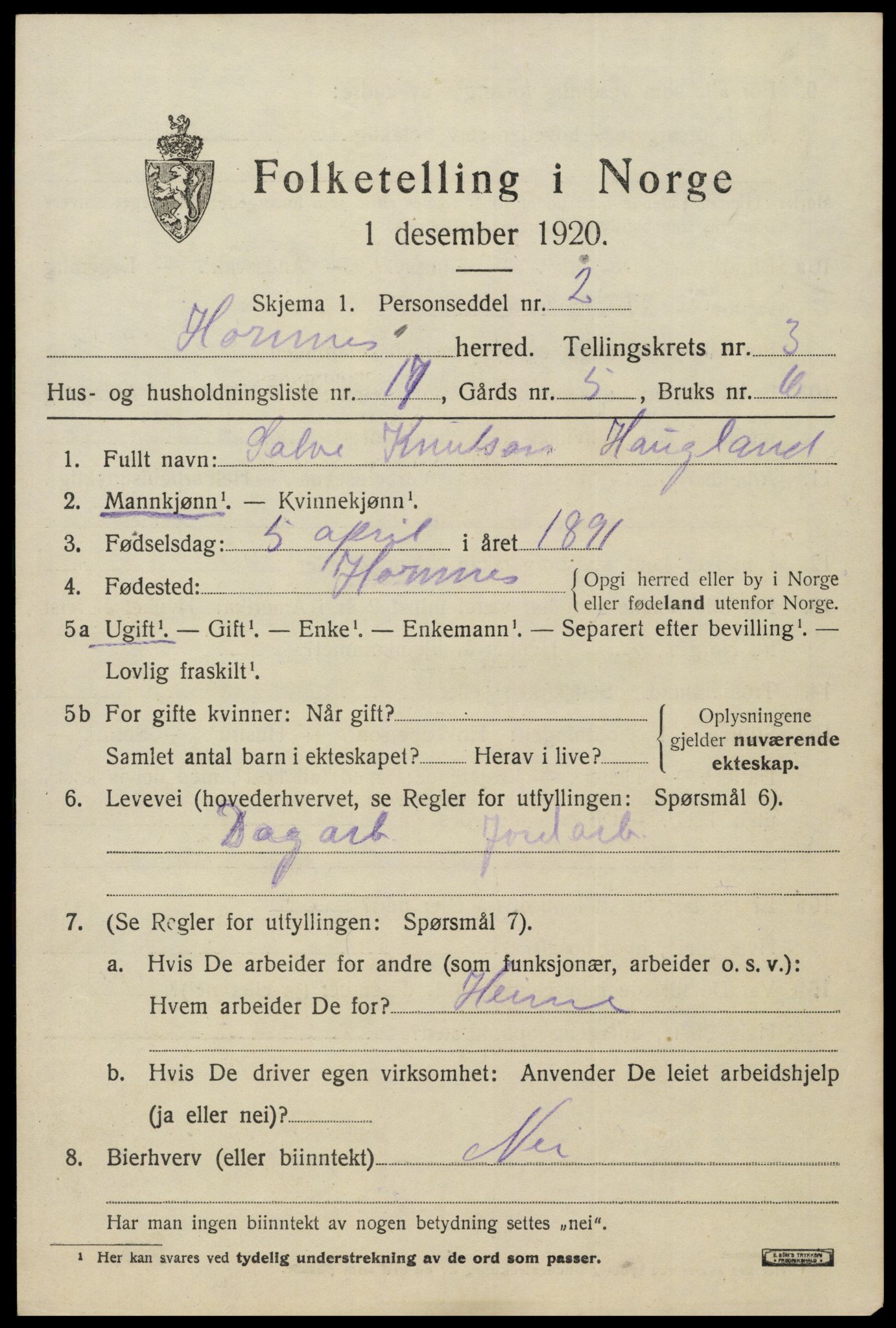 SAK, 1920 census for Hornnes, 1920, p. 1009