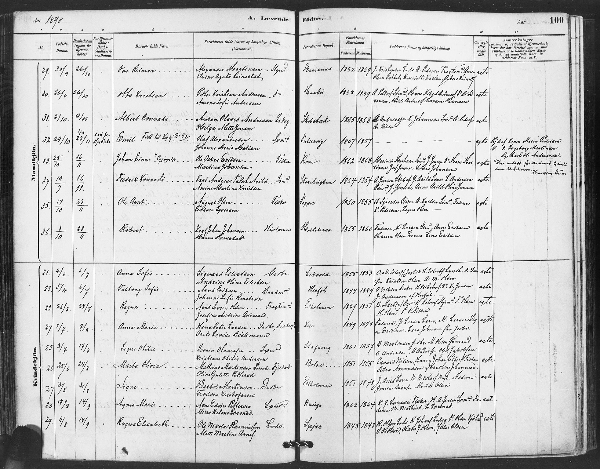 Hvaler prestekontor Kirkebøker, AV/SAO-A-2001/F/Fa/L0008: Parish register (official) no. I 8, 1878-1895, p. 109