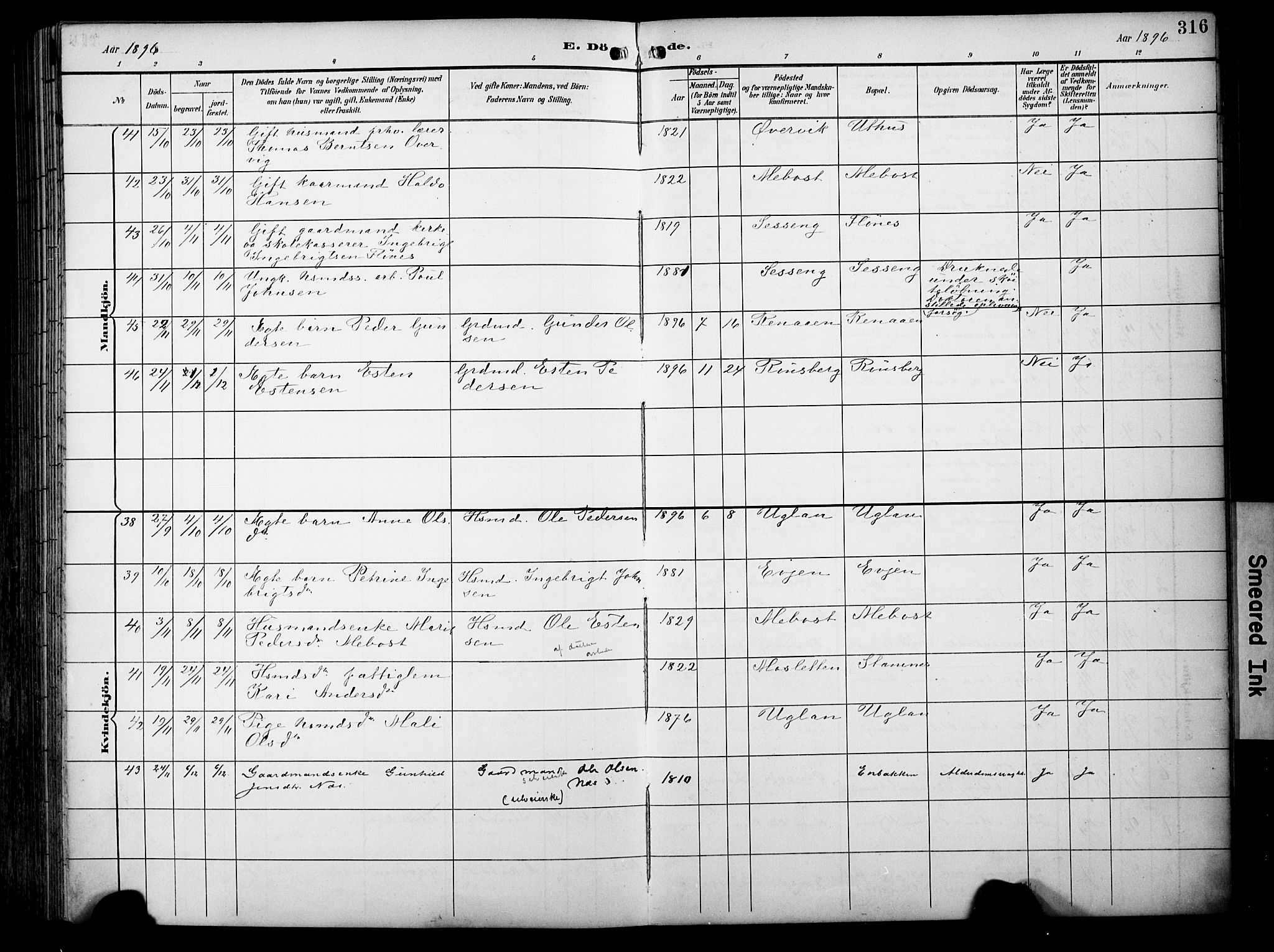 Ministerialprotokoller, klokkerbøker og fødselsregistre - Sør-Trøndelag, SAT/A-1456/695/L1149: Parish register (official) no. 695A09, 1891-1902, p. 316