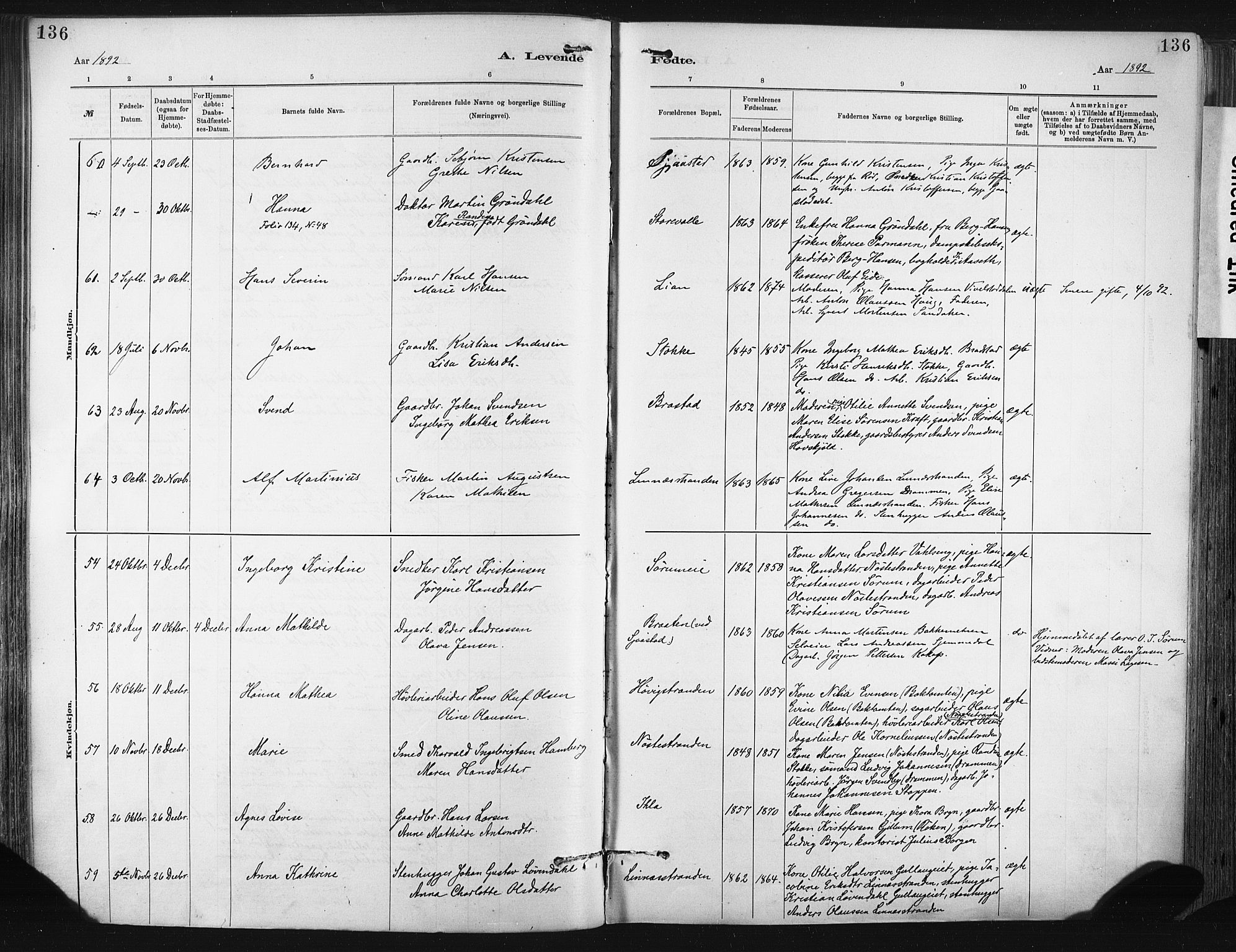 Lier kirkebøker, SAKO/A-230/F/Fa/L0015: Parish register (official) no. I 15, 1883-1894, p. 136