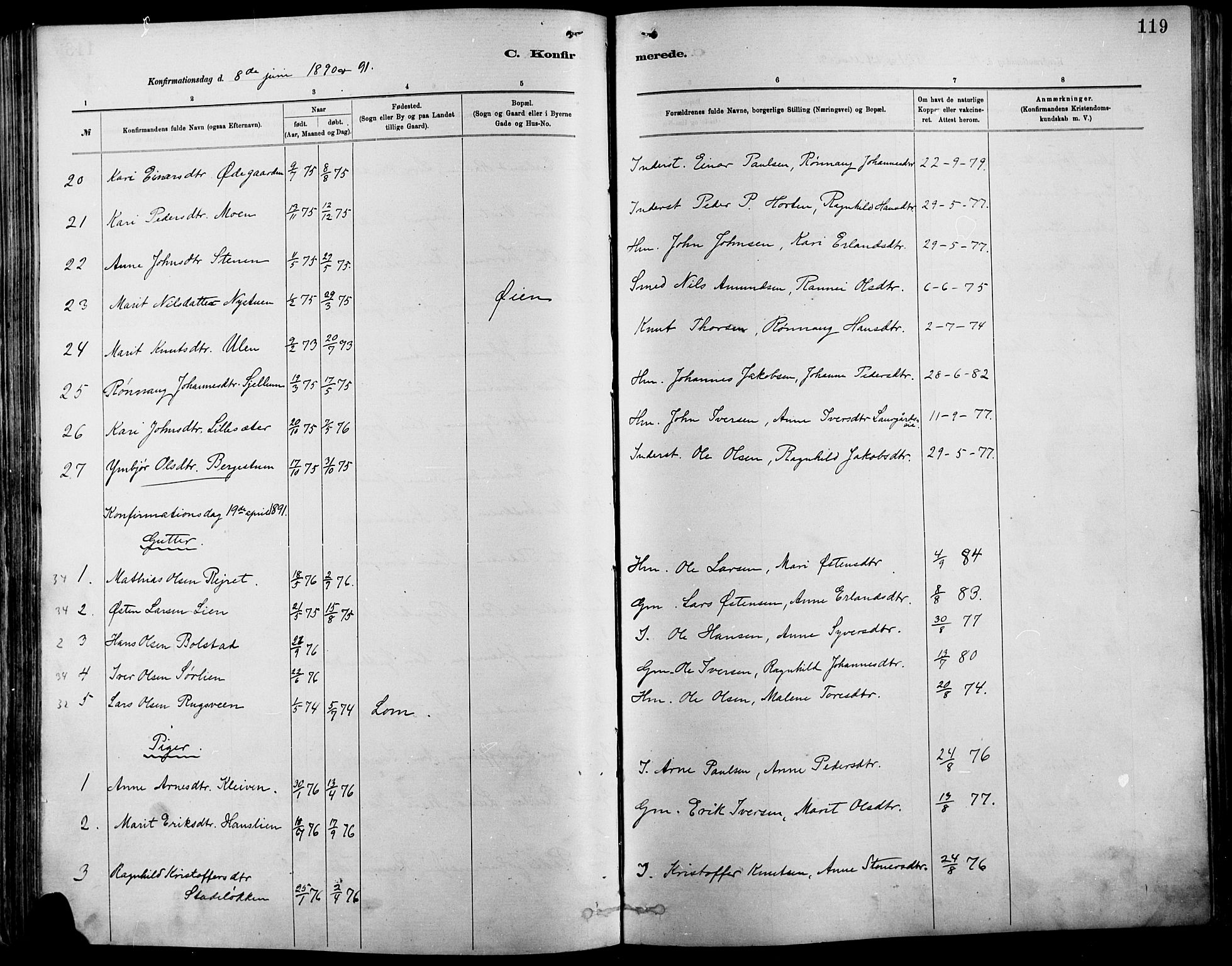 Vågå prestekontor, SAH/PREST-076/H/Ha/Haa/L0009: Parish register (official) no. 9, 1886-1904, p. 119