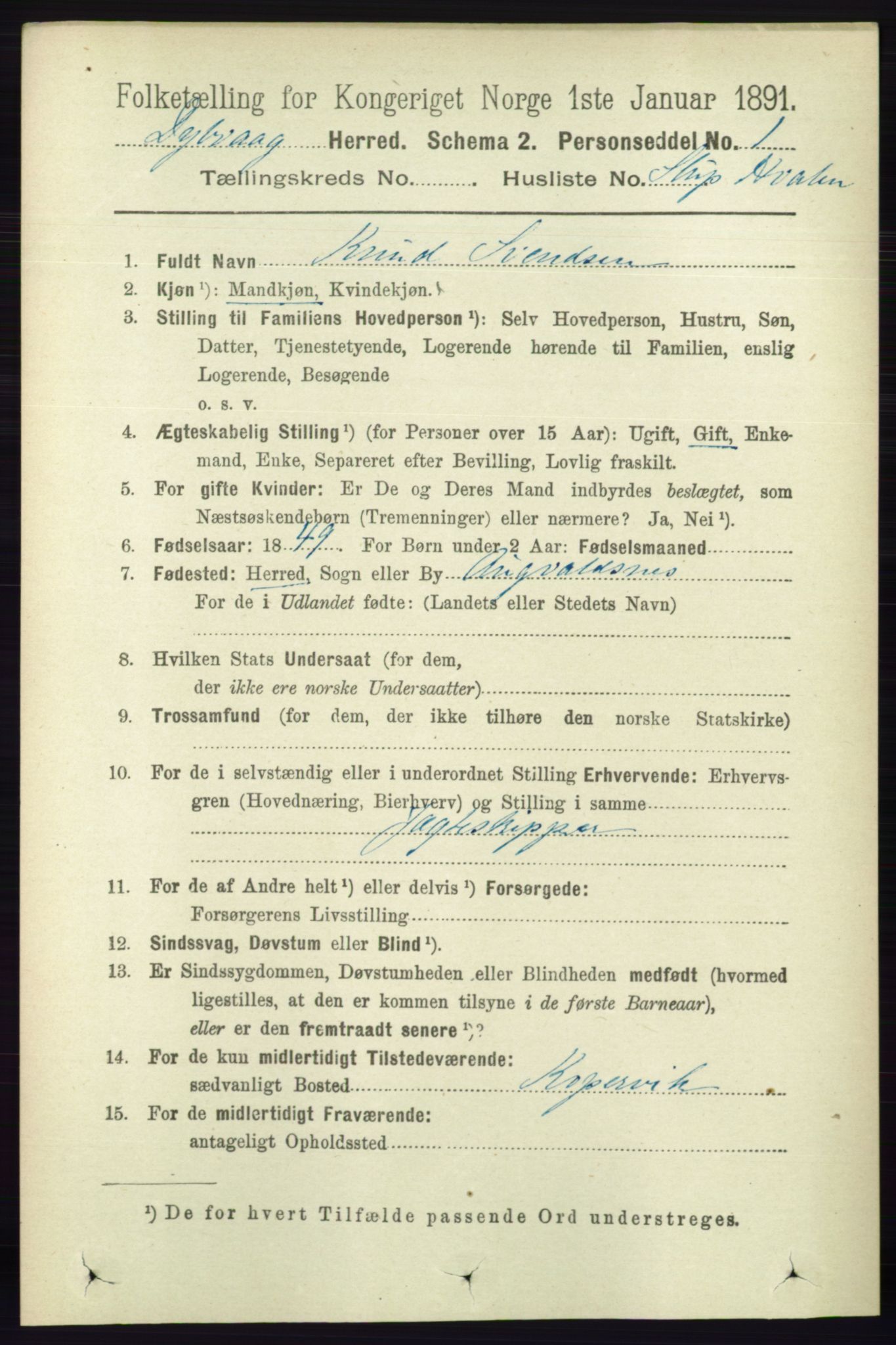 RA, 1891 census for 0915 Dypvåg, 1891, p. 6863