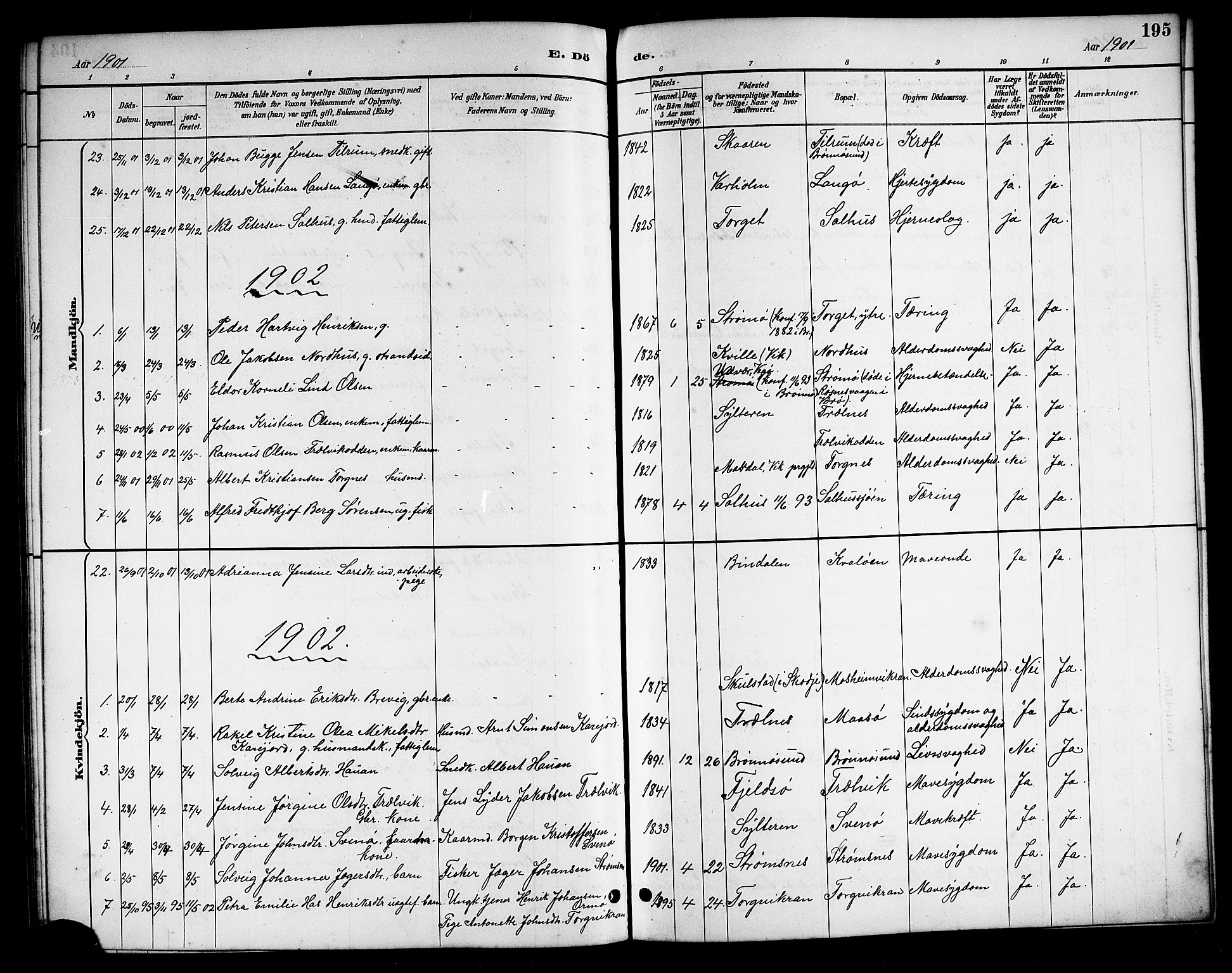 Ministerialprotokoller, klokkerbøker og fødselsregistre - Nordland, SAT/A-1459/813/L0213: Parish register (copy) no. 813C05, 1887-1903, p. 195
