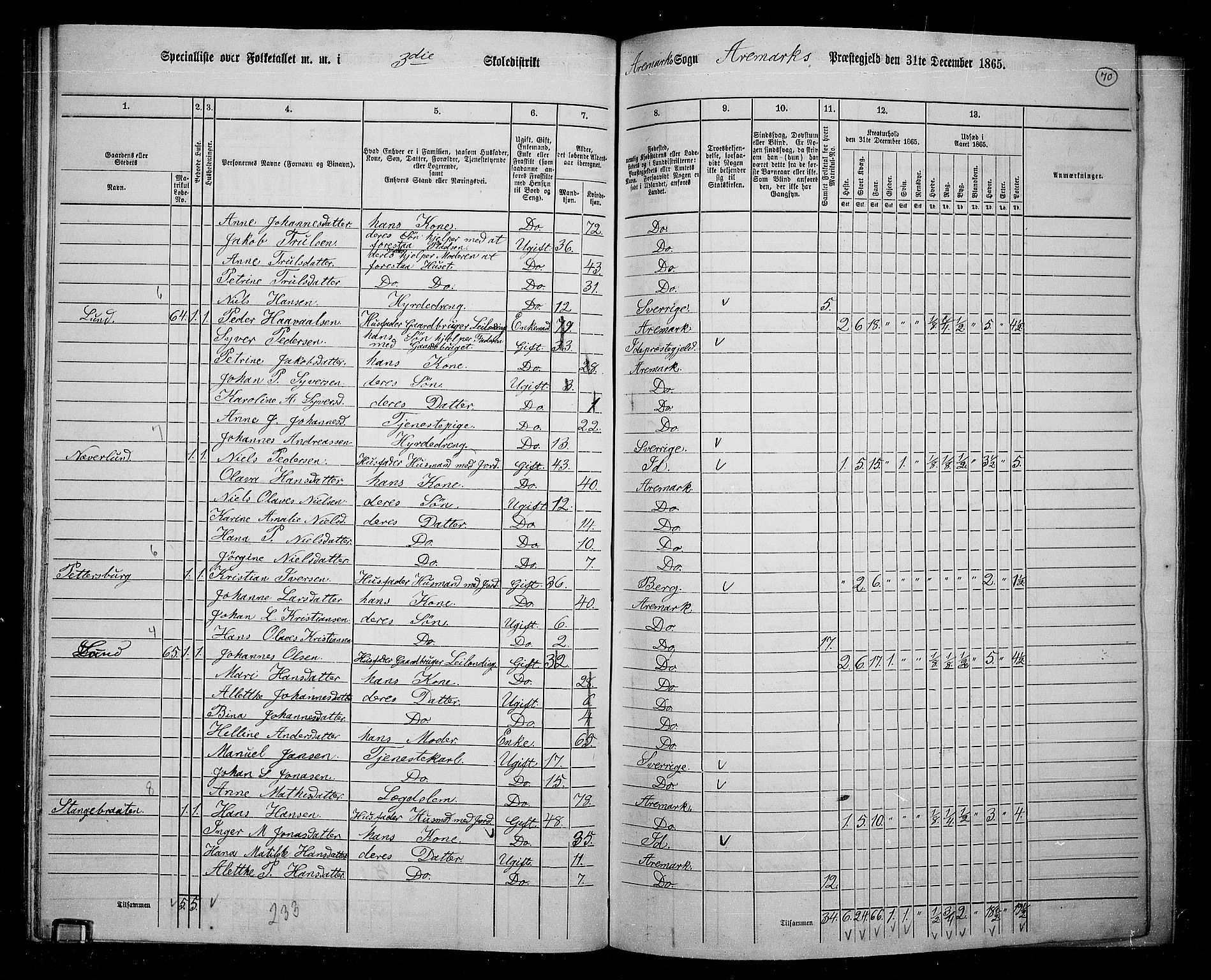 RA, 1865 census for Aremark, 1865, p. 65