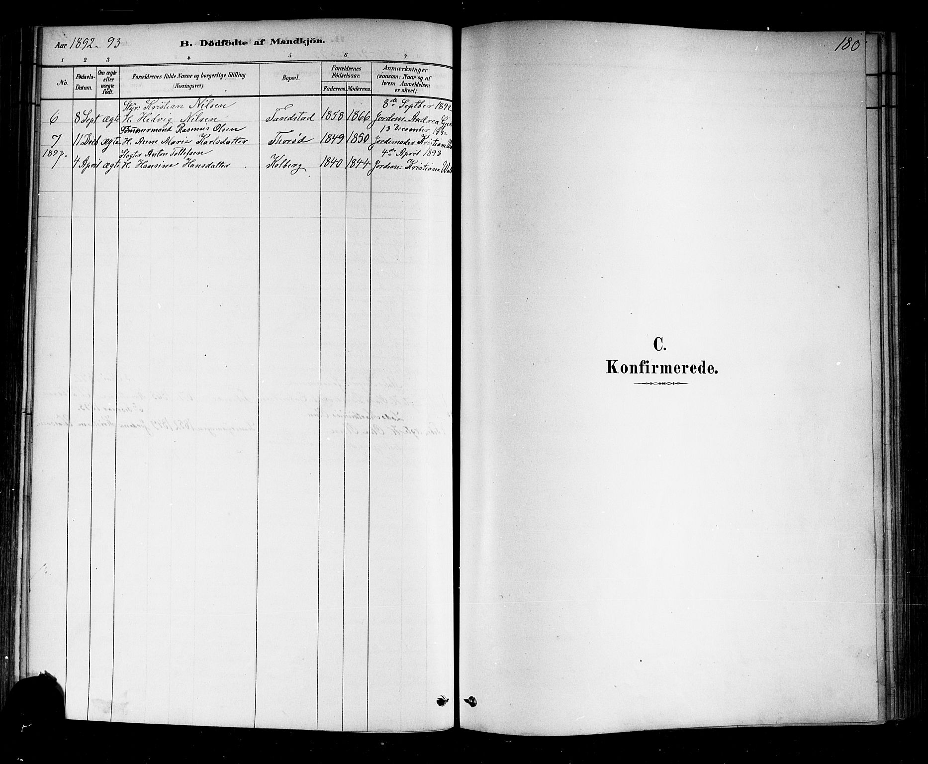 Nøtterøy kirkebøker, SAKO/A-354/F/Fa/L0008: Parish register (official) no. I 8, 1878-1893, p. 180