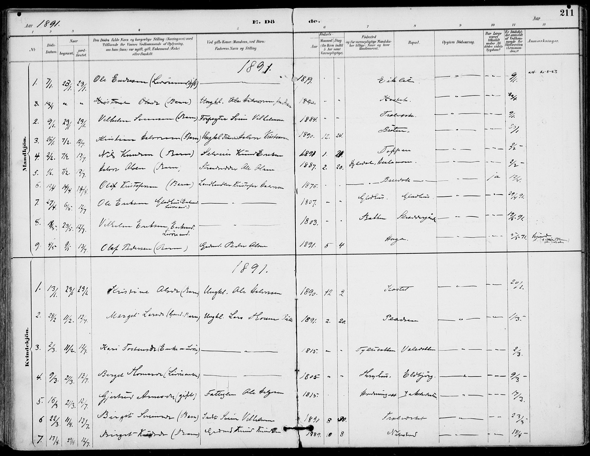 Gol kirkebøker, SAKO/A-226/F/Fa/L0005: Parish register (official) no. I 5, 1887-1900, p. 211