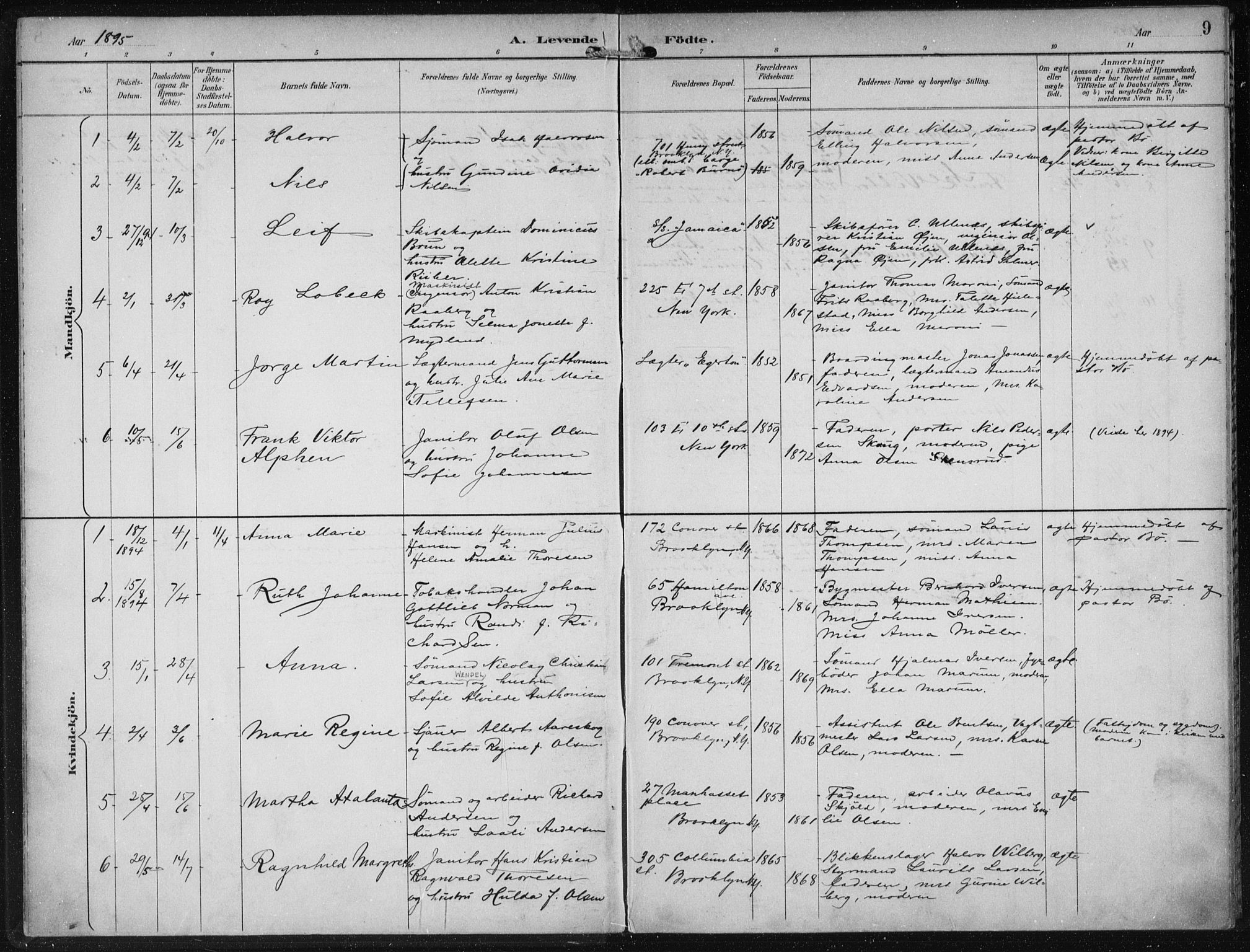 Den norske sjømannsmisjon i utlandet/New York, SAB/SAB/PA-0110/H/Ha/L0004: Parish register (official) no. A 4, 1893-1901, p. 9
