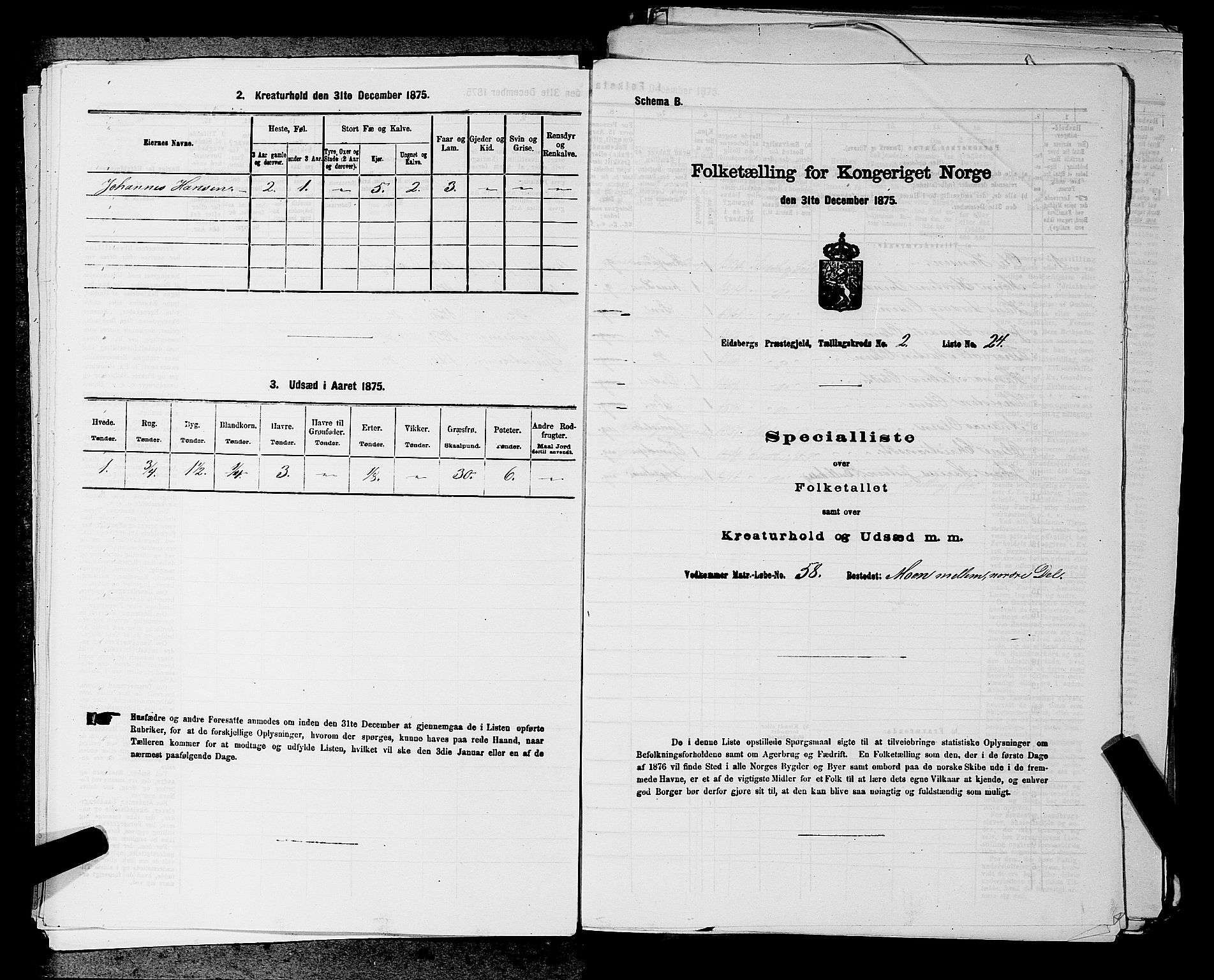 RA, 1875 census for 0125P Eidsberg, 1875, p. 403