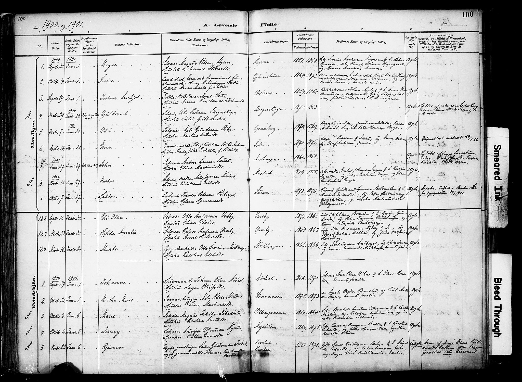 Elverum prestekontor, AV/SAH-PREST-044/H/Ha/Haa/L0014: Parish register (official) no. 14, 1891-1909, p. 100