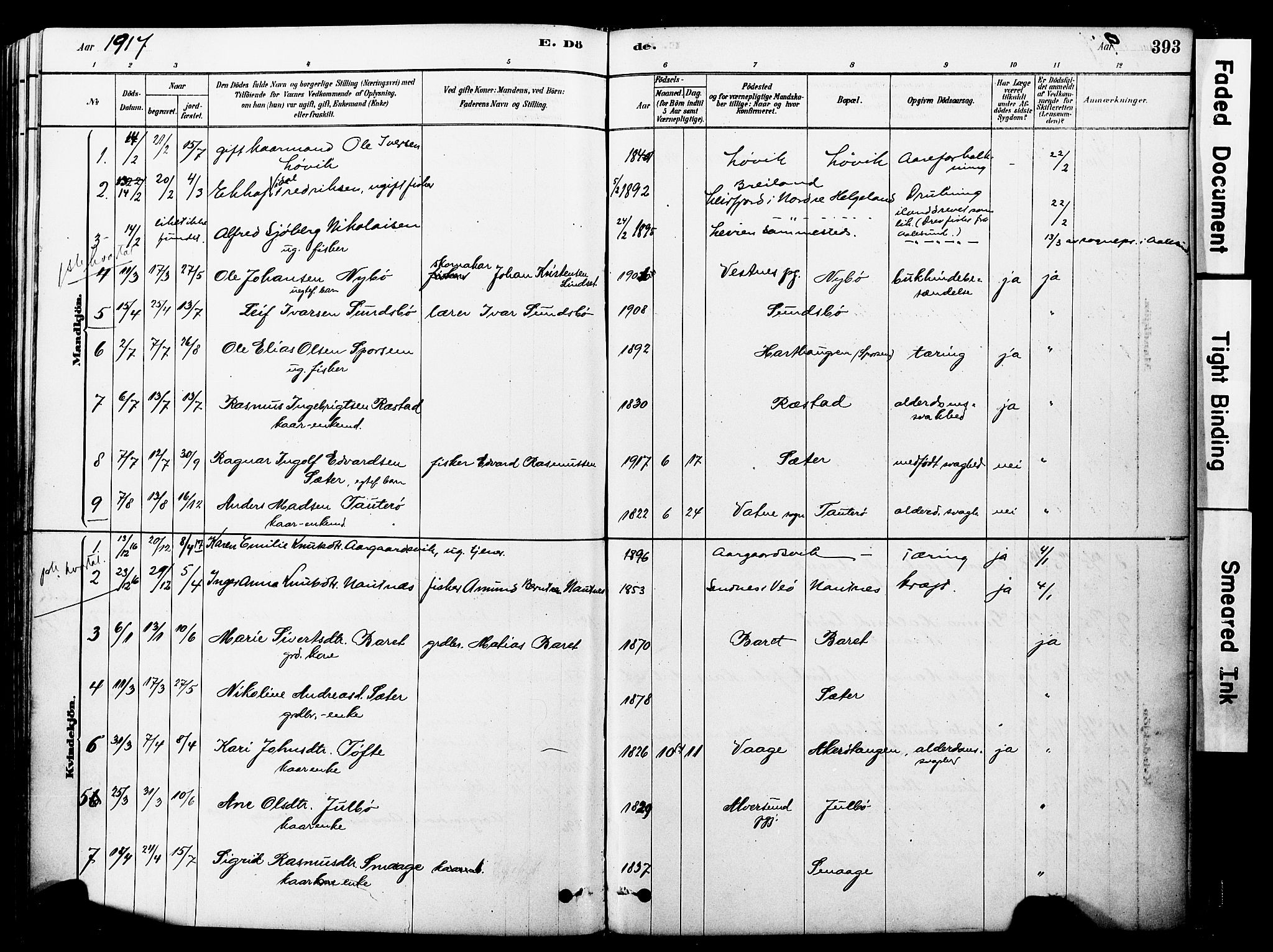 Ministerialprotokoller, klokkerbøker og fødselsregistre - Møre og Romsdal, SAT/A-1454/560/L0721: Parish register (official) no. 560A05, 1878-1917, p. 393